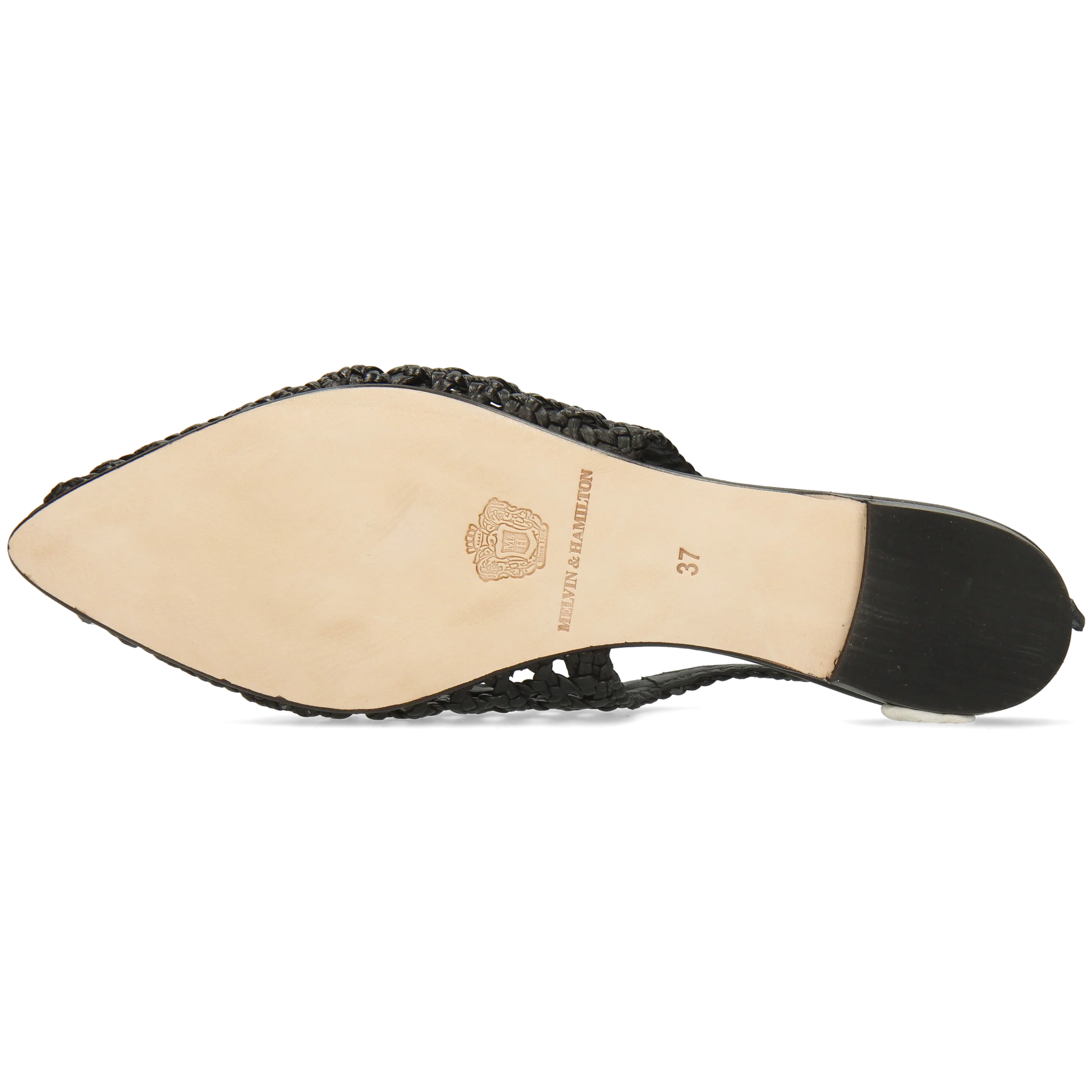 Alexa 32 - Image 4