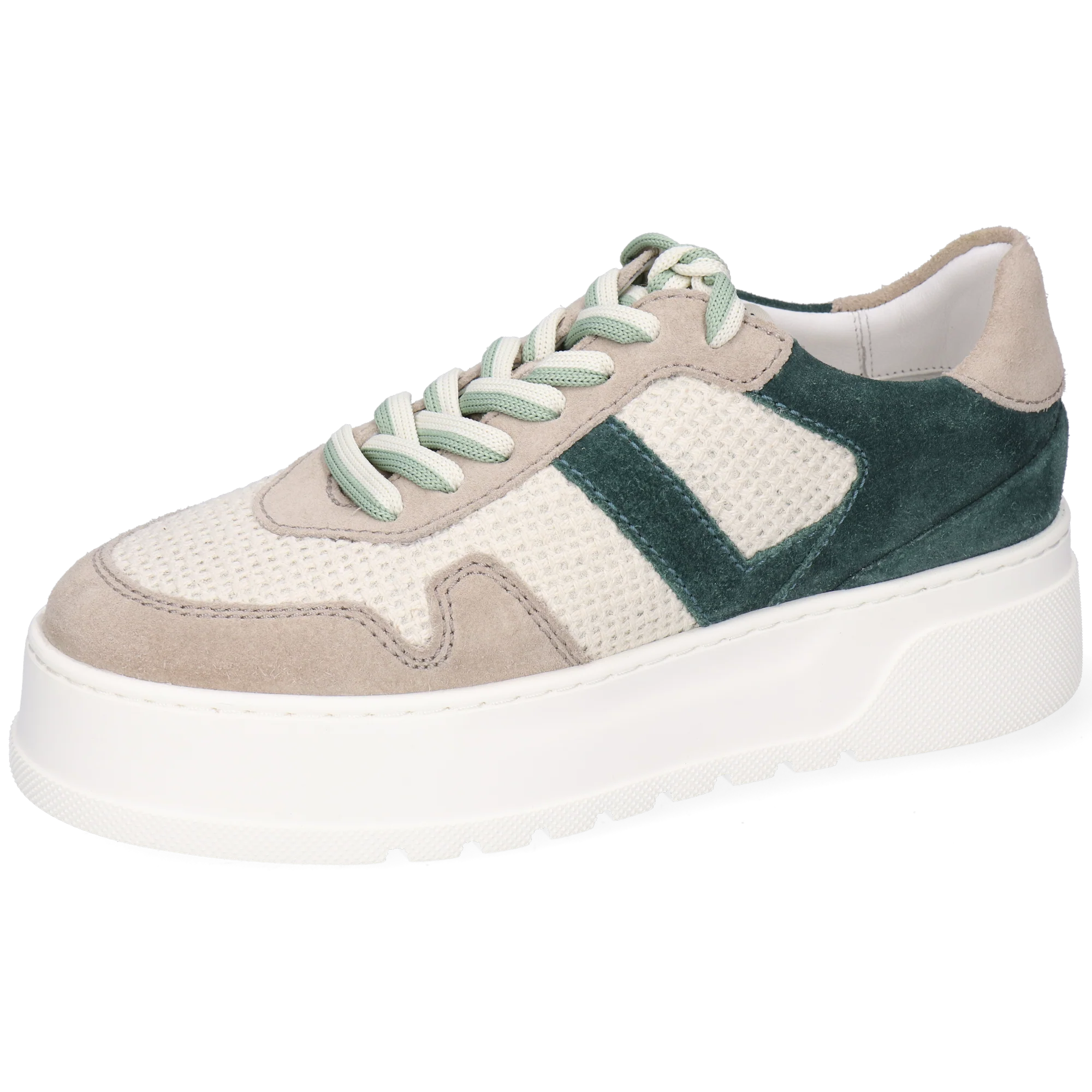 Alga 2