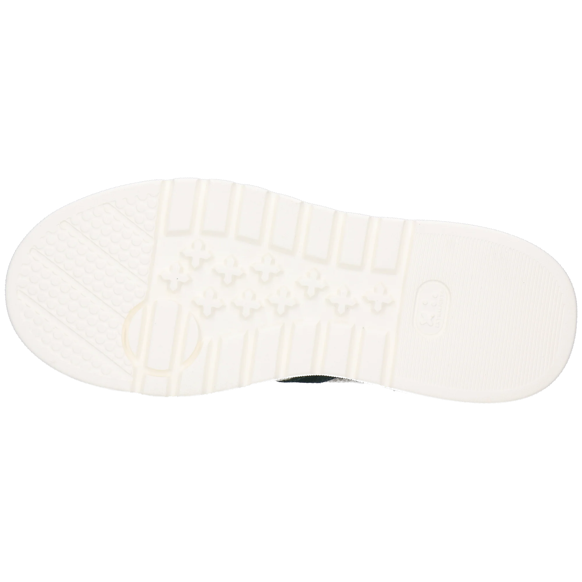 Alga 2 - Image 4