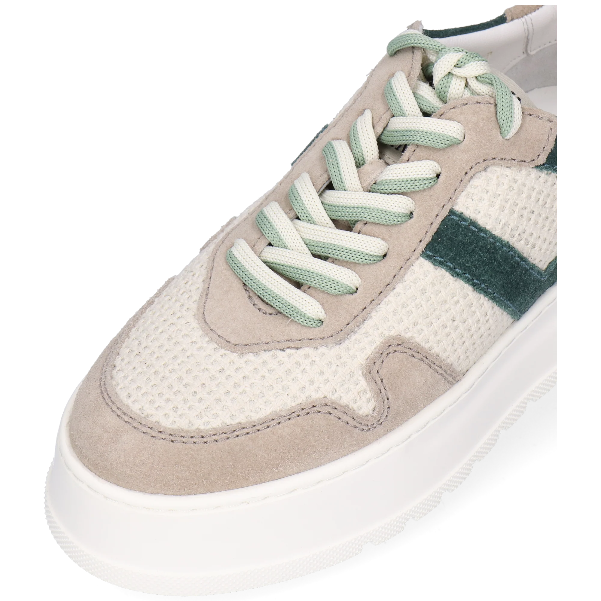 Alga 2 - Image 5