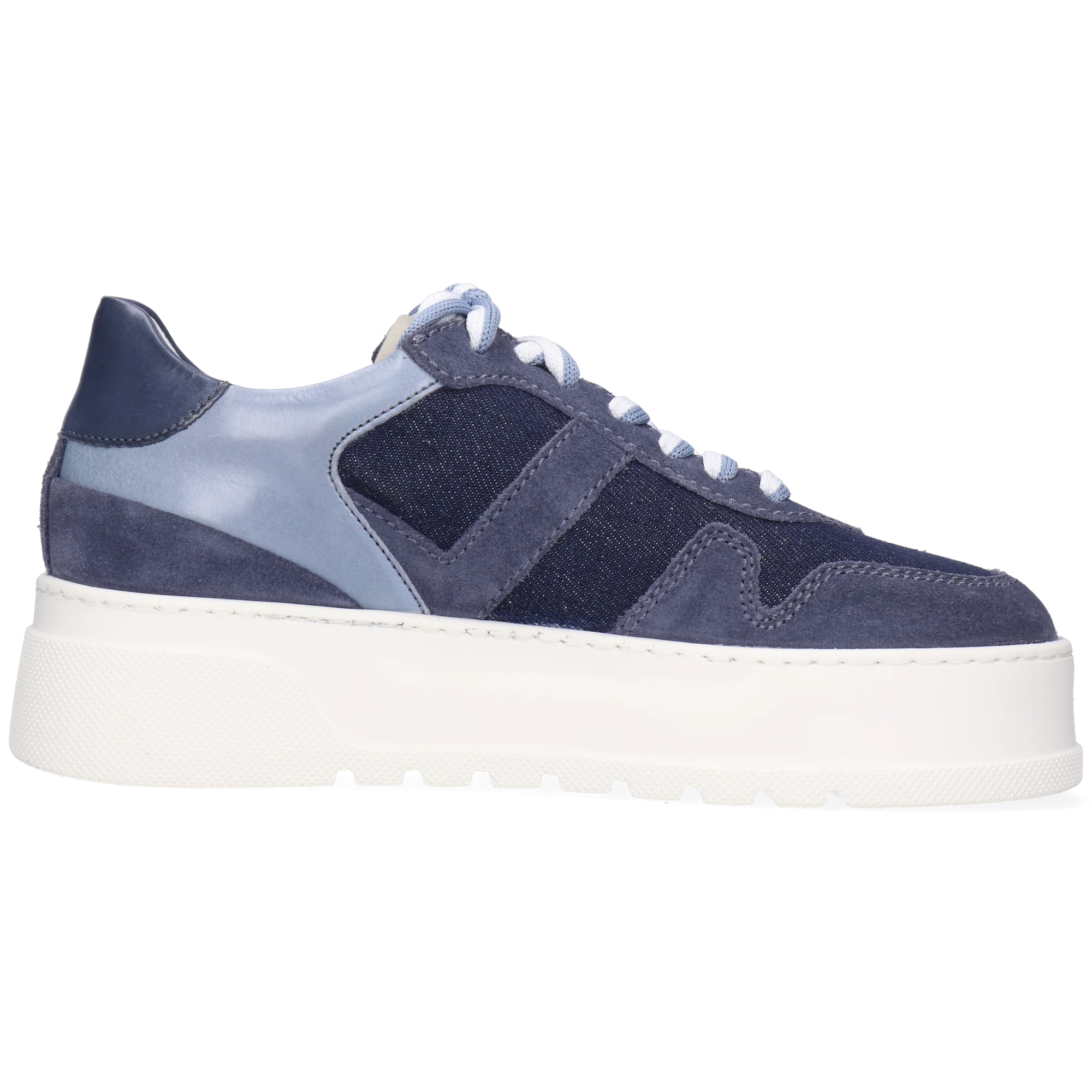 Alga 2 - Image 2