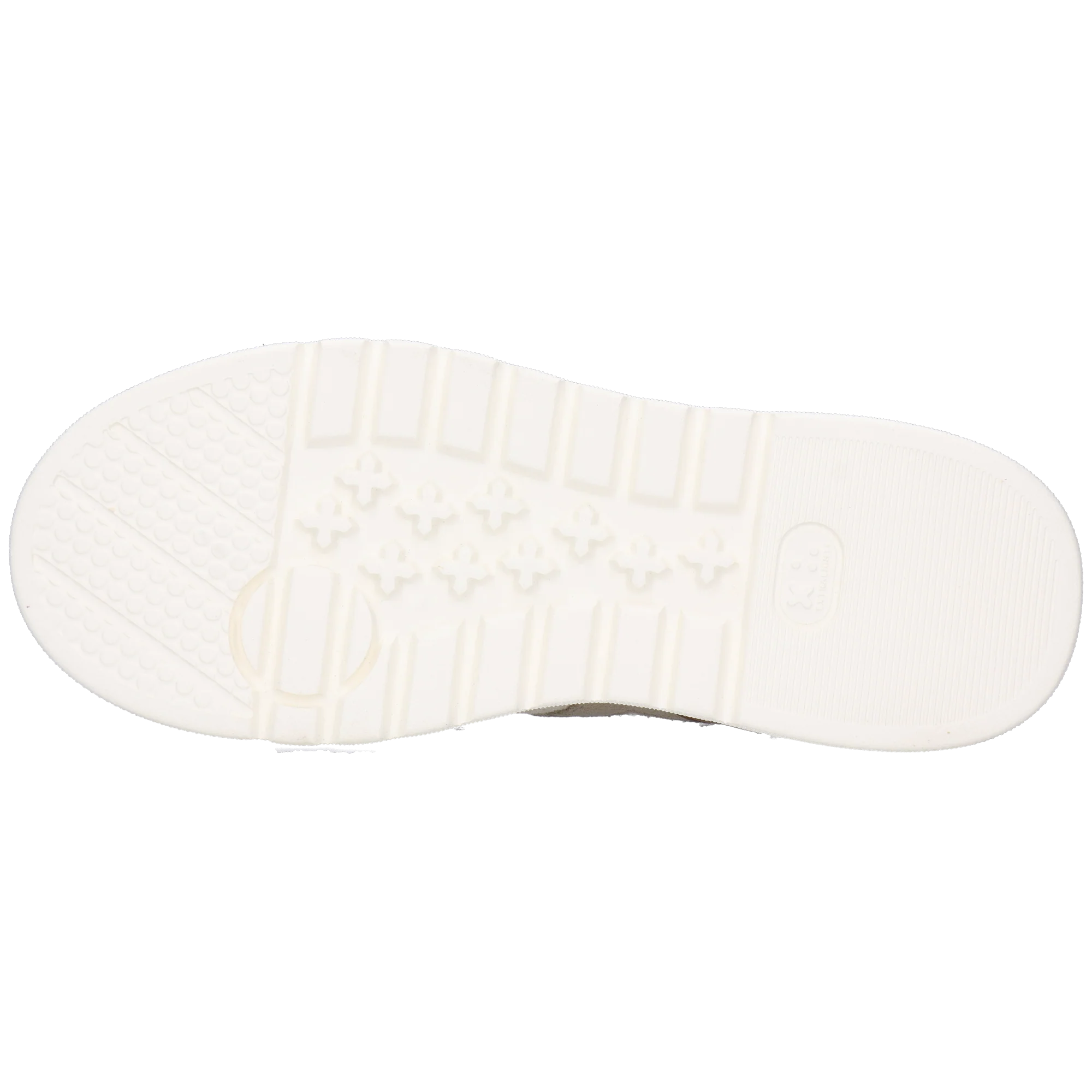 Alga 2 - Image 4