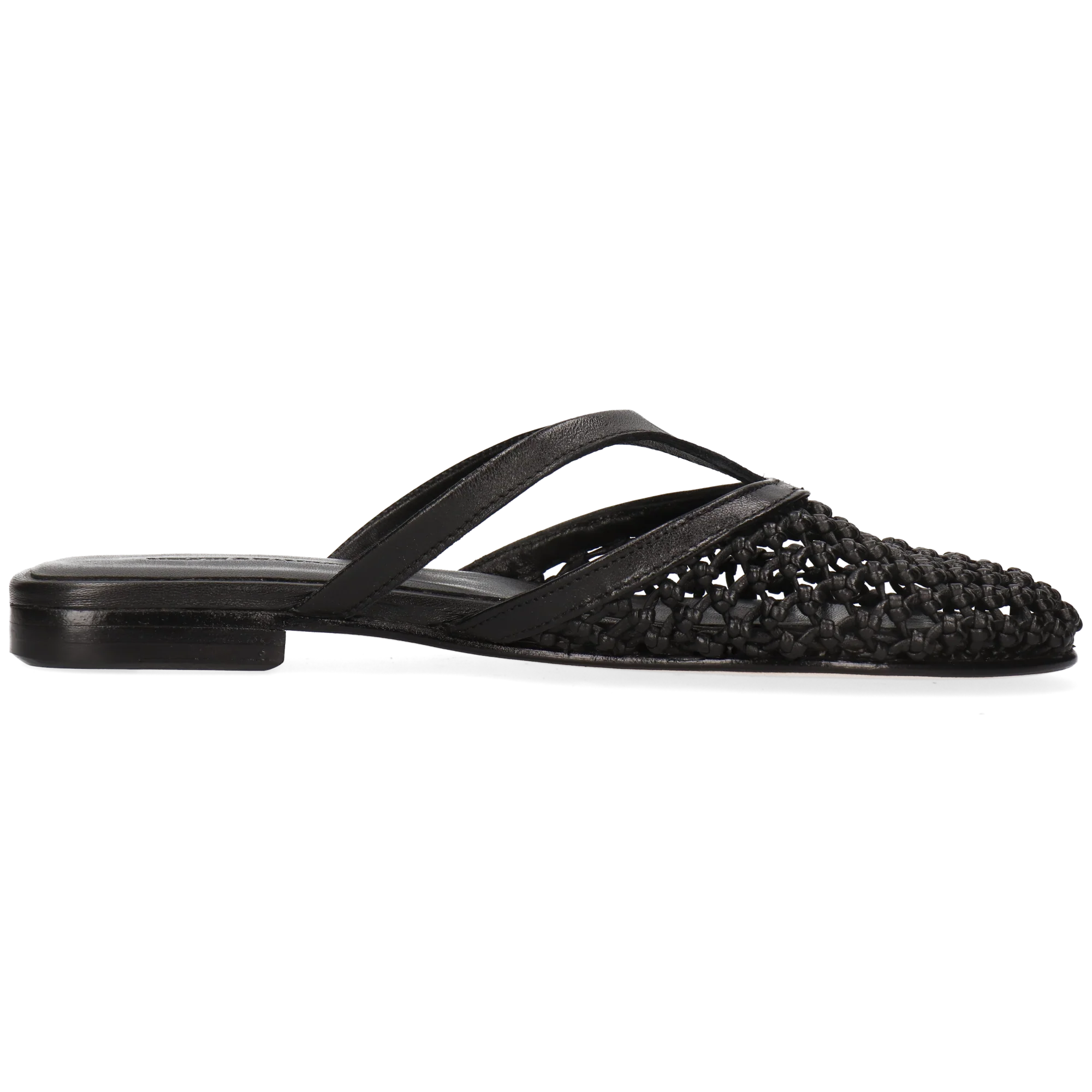 Alivia 5 - Image 2