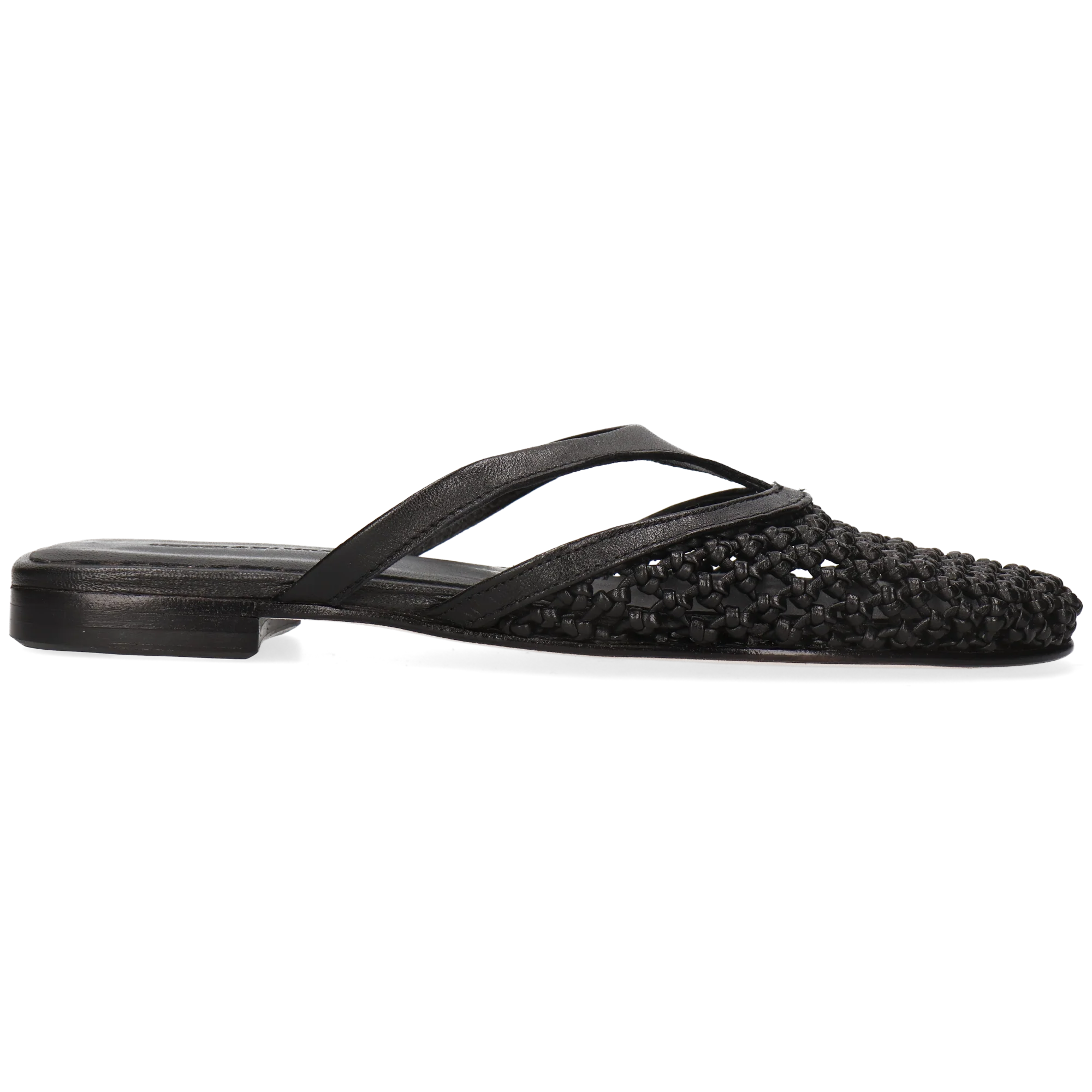 Alivia 5 - Image 9