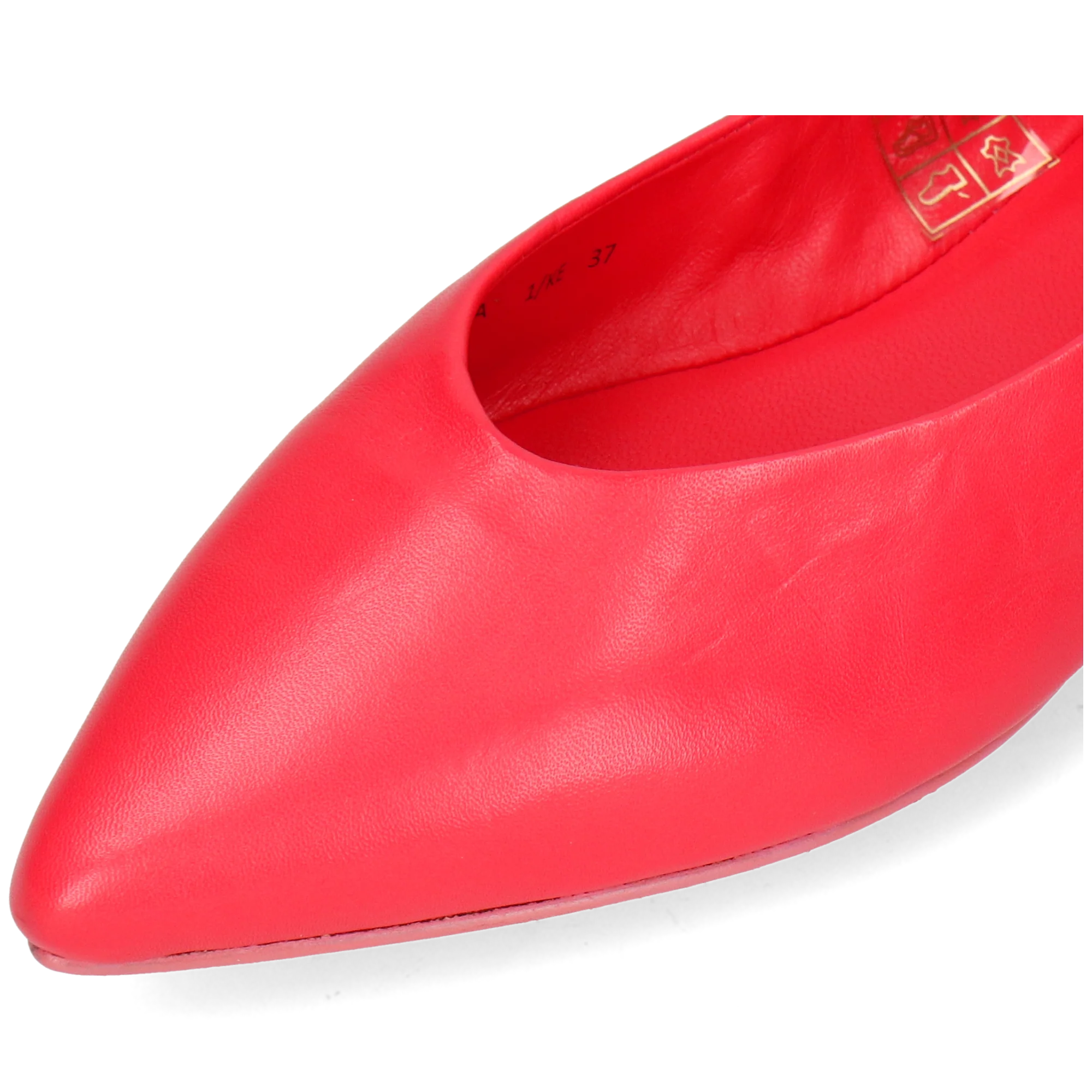 Alora 1 - Image 5