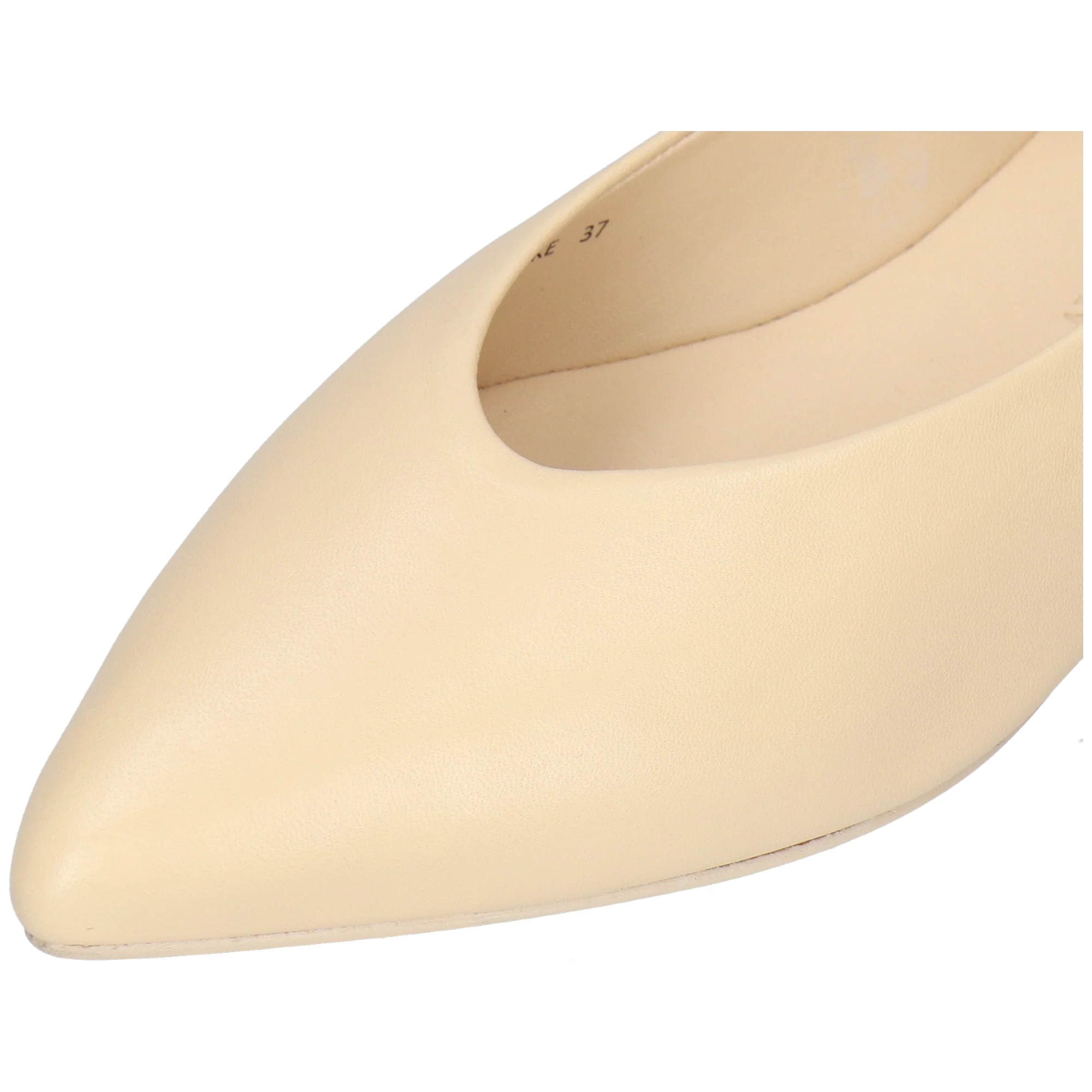 Alora 1 - Image 5
