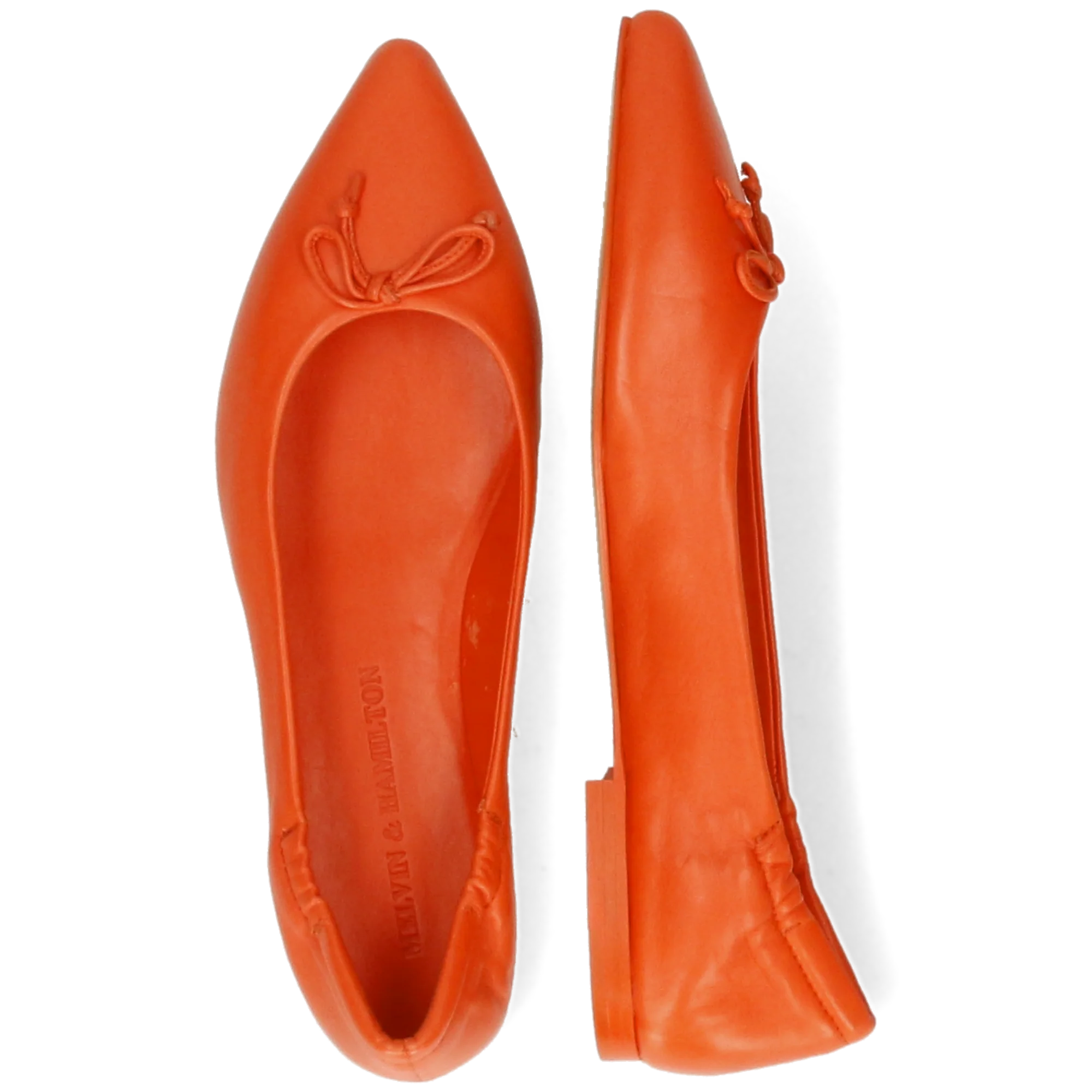 Alora 4 - Image 6