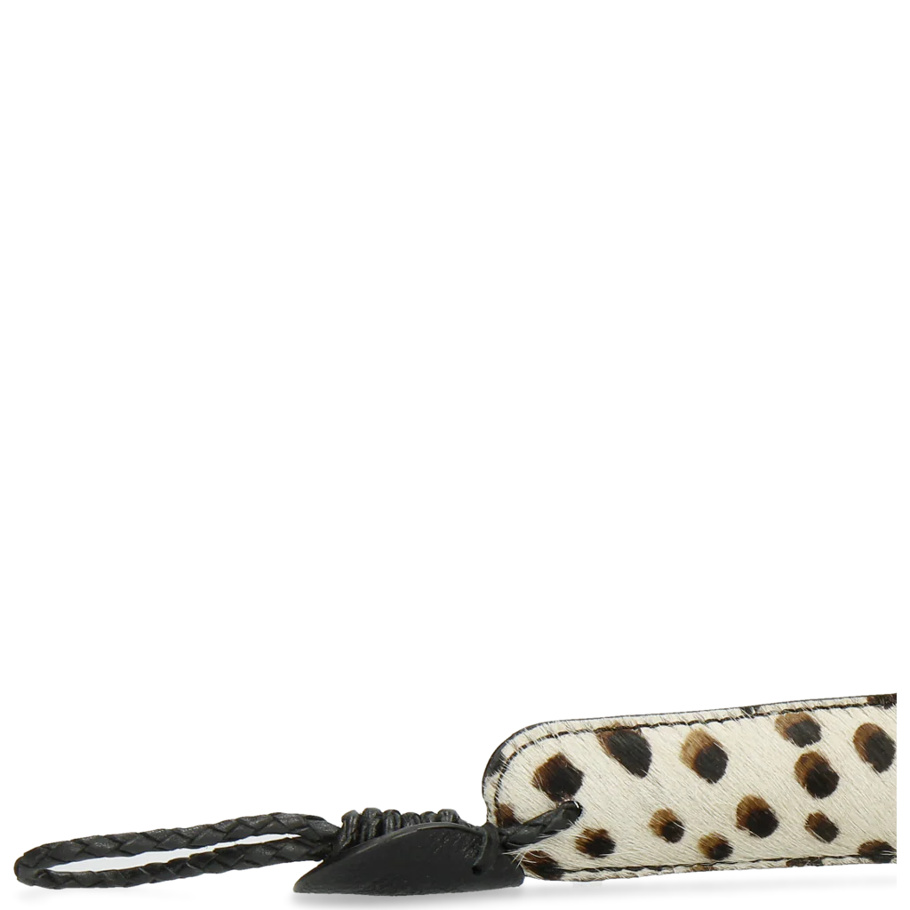 Anton 3 - Image 4