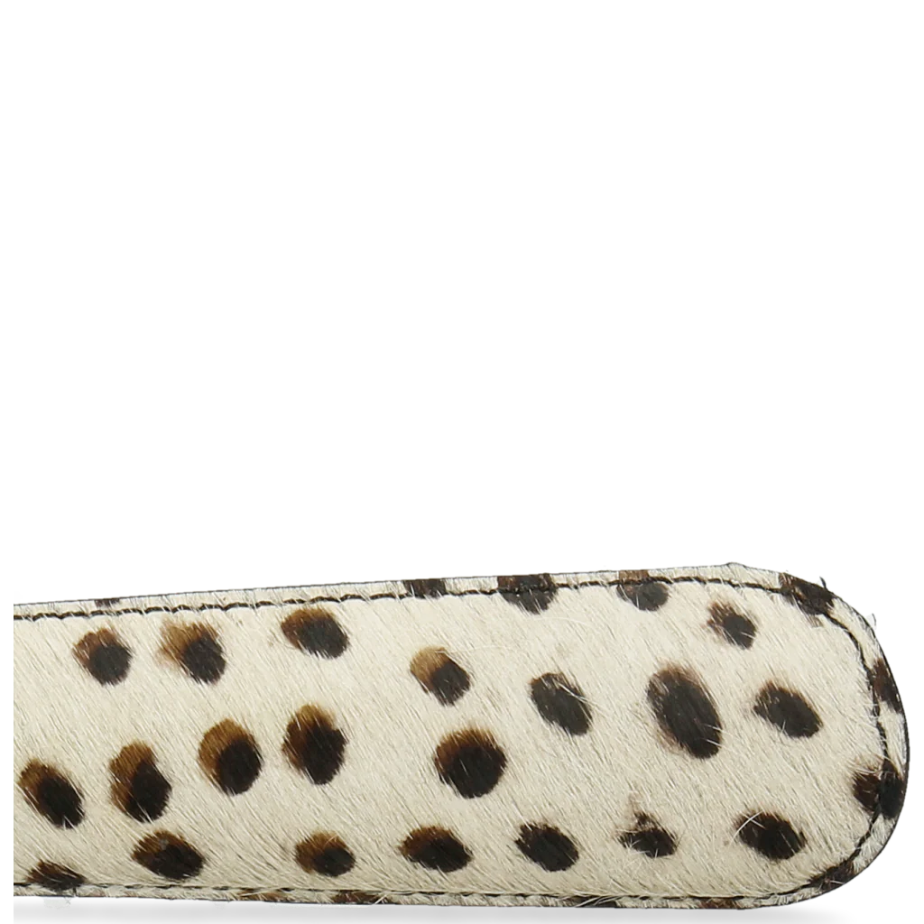 Anton 3 - Image 5