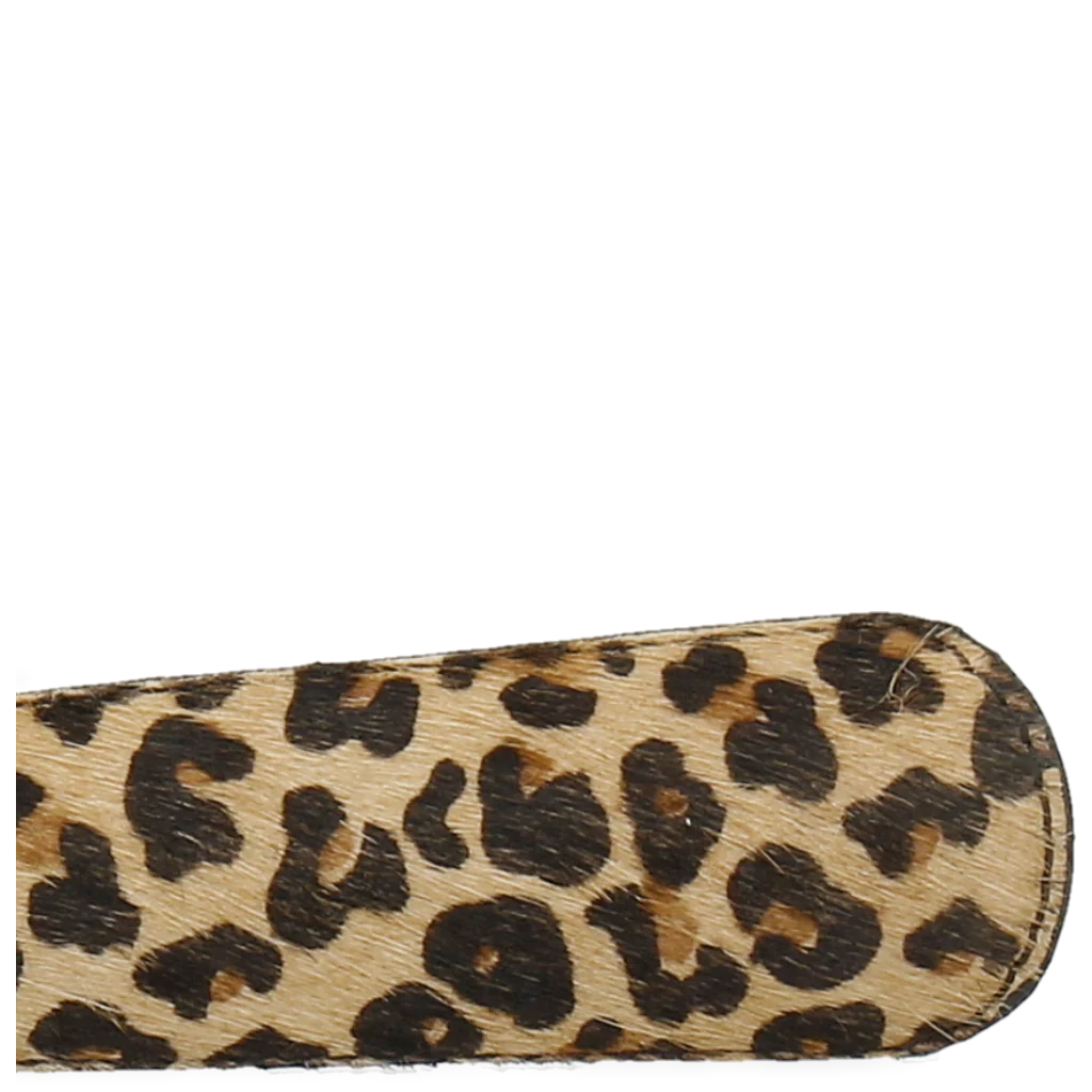 Anton 3 - Image 5