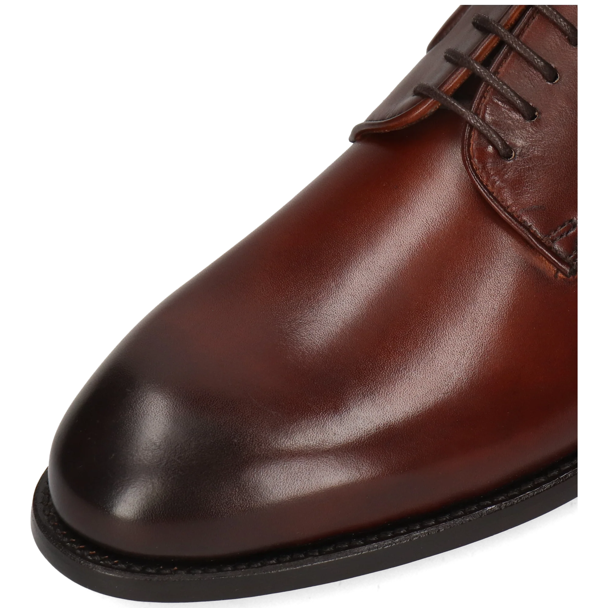 Benet 1 - Image 5