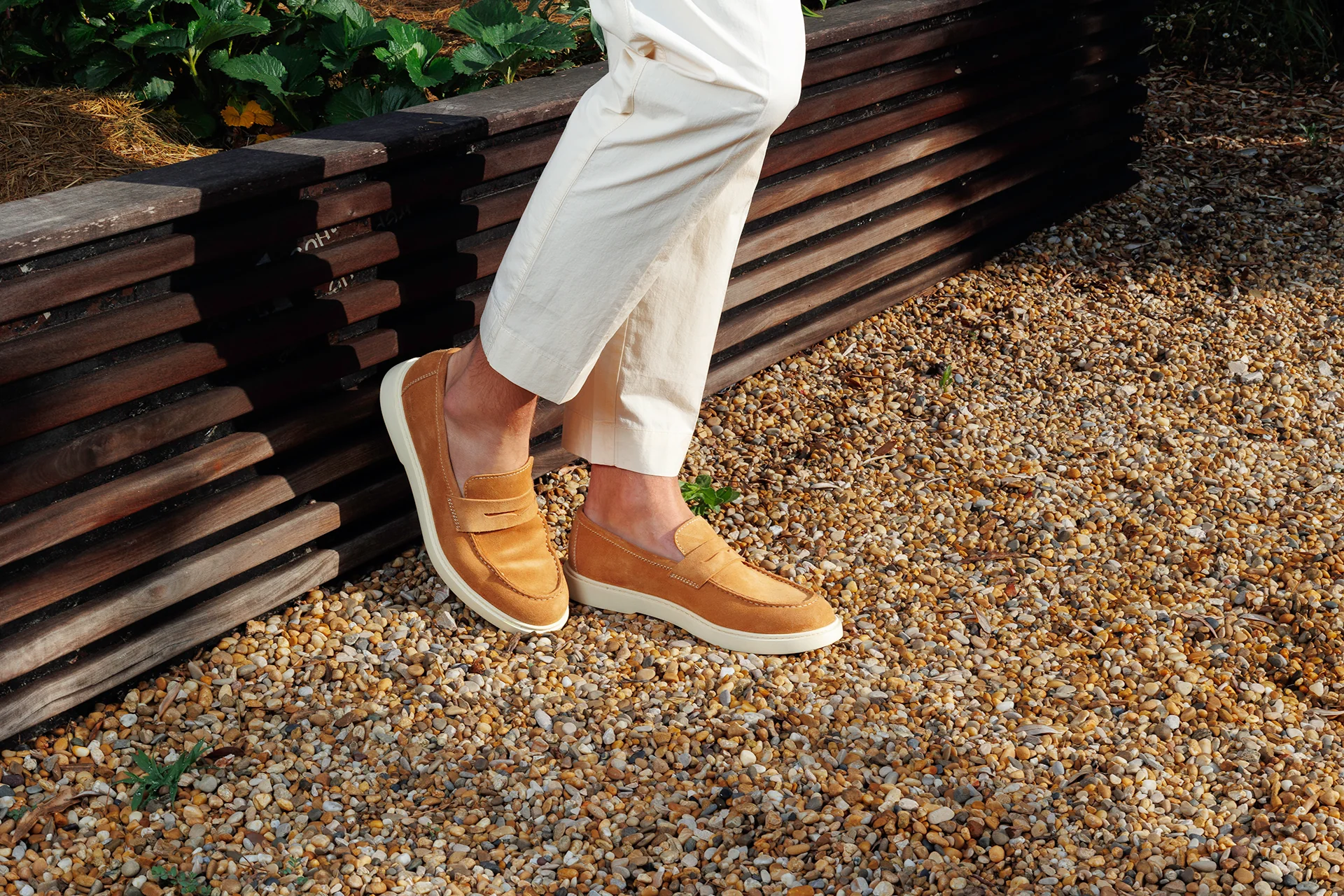 Bruno 3 - Image 7