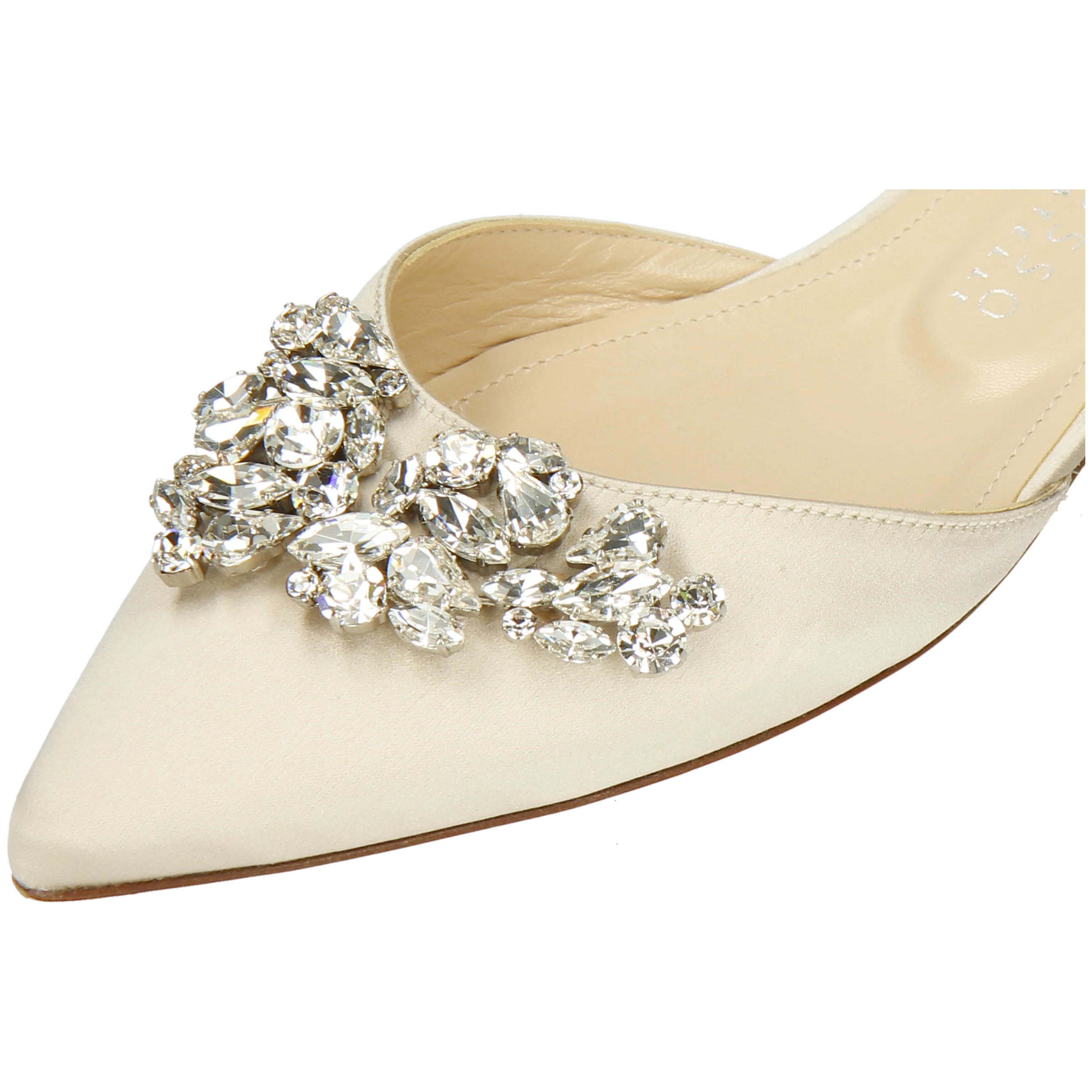 Delphine 1 - Image 5