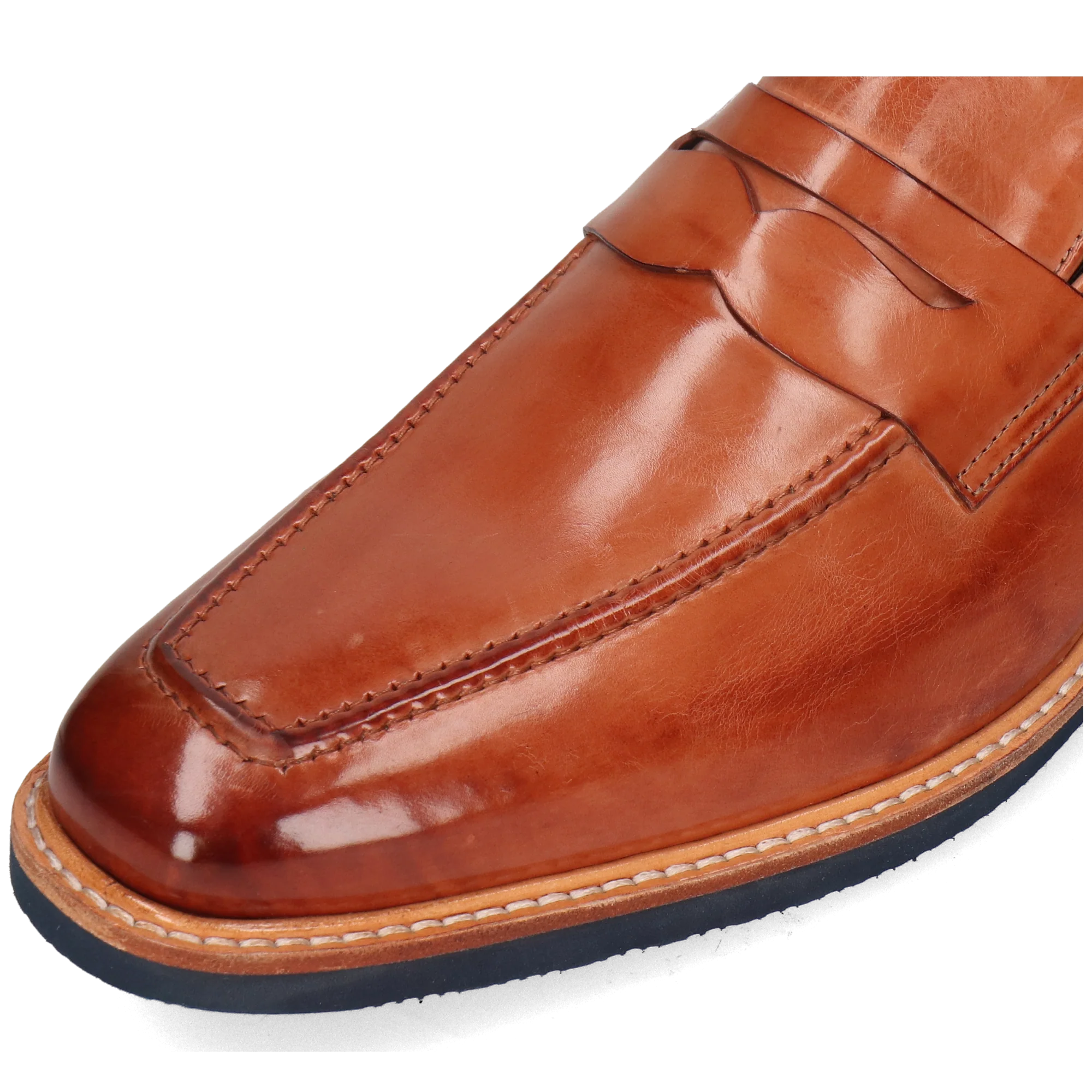 Dino 1 - Image 5