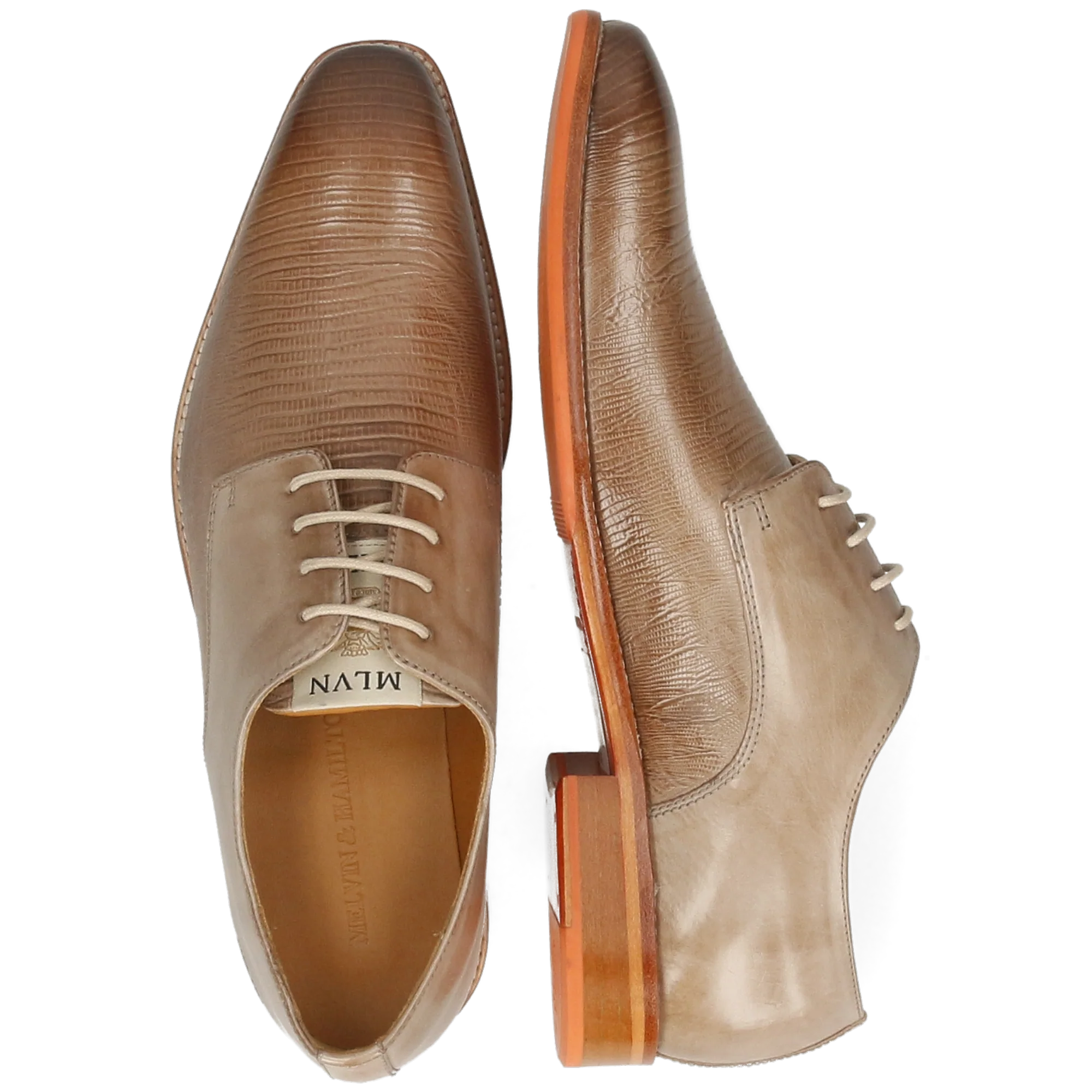 Dylan 5 - Image 6