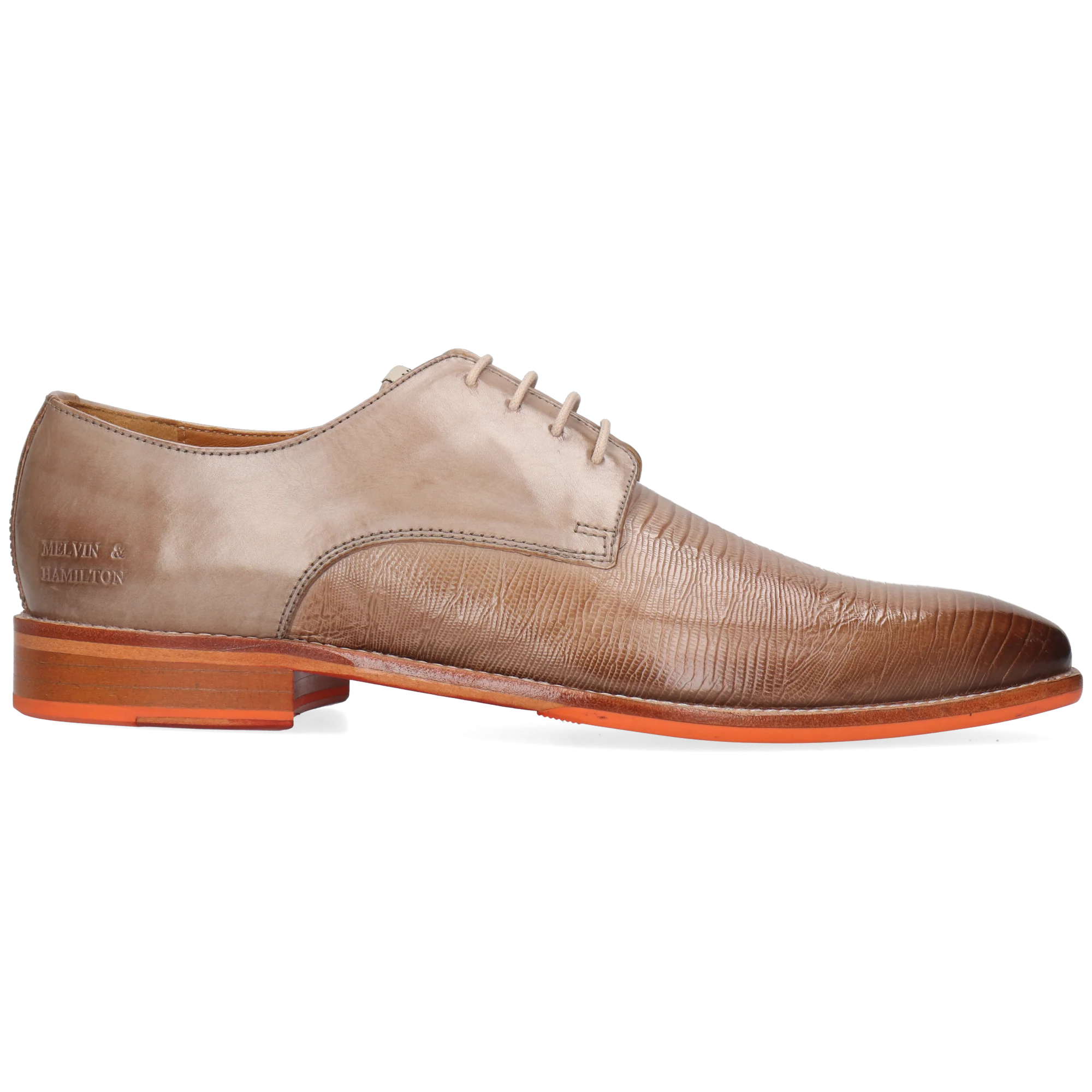 Dylan 5 - Image 7