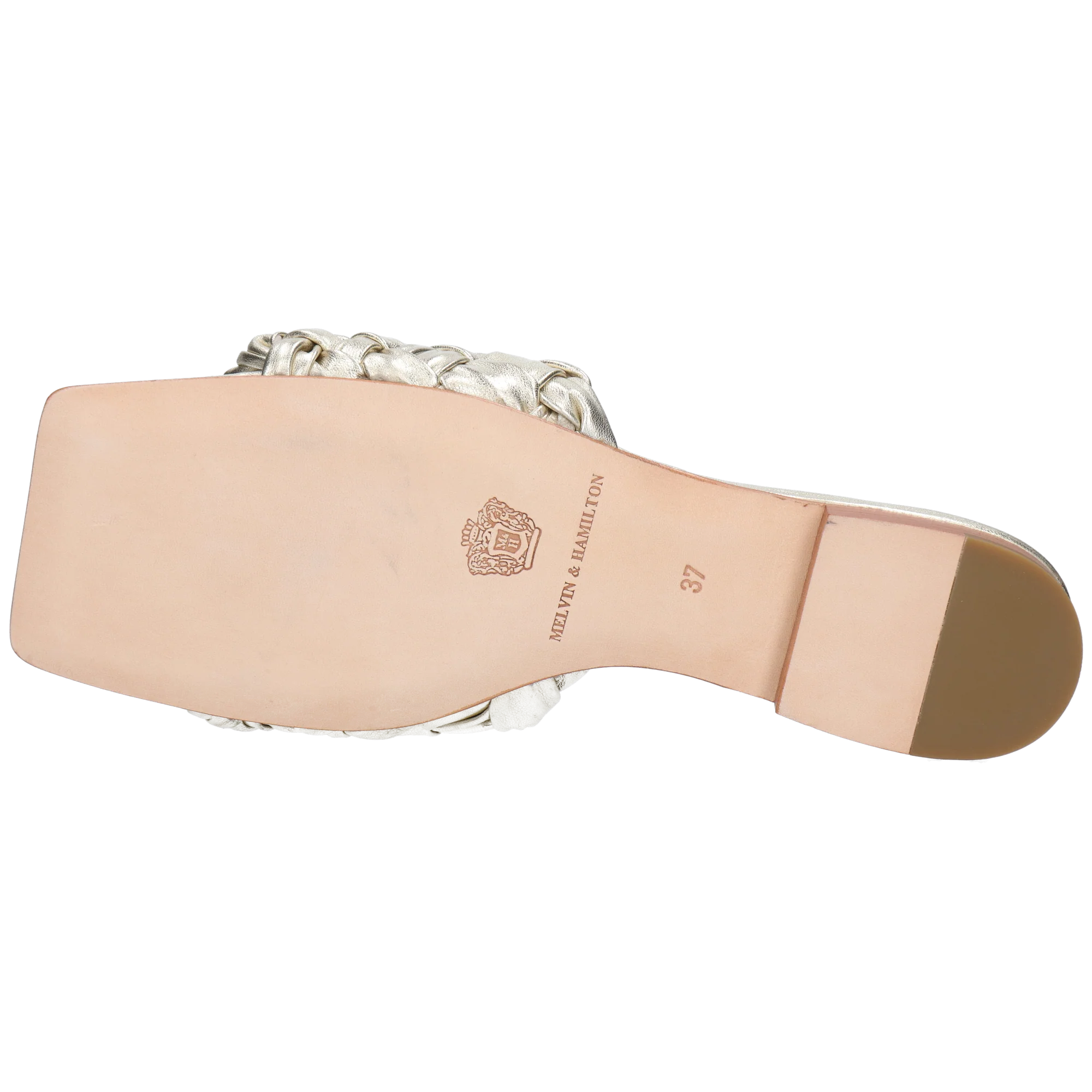 Eglantine 1 - Image 4