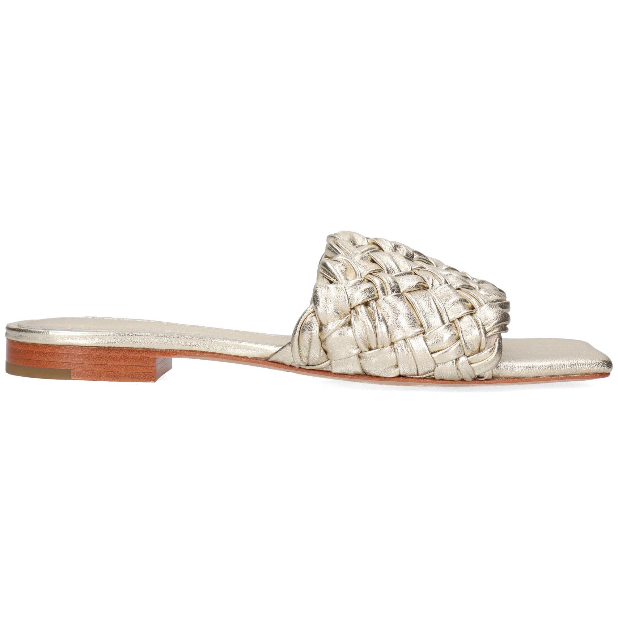 Eglantine 1 - Image 7