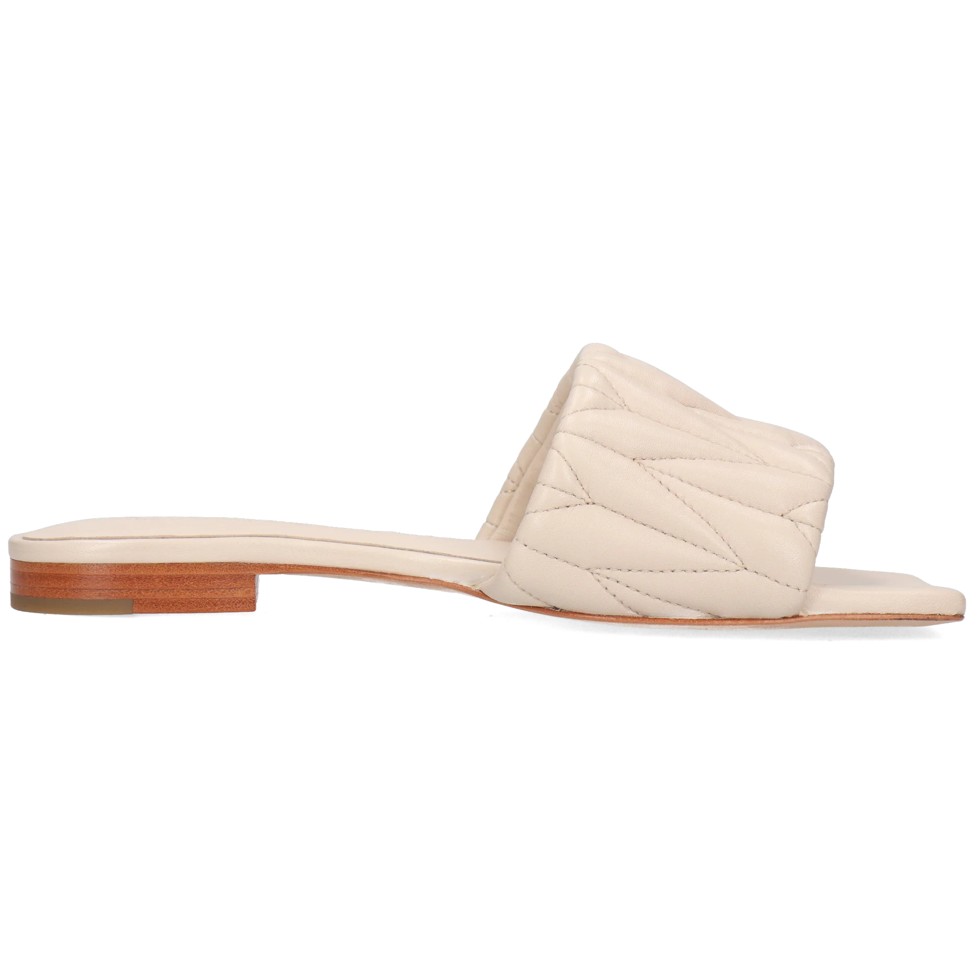 Eglantine 2 - Image 2