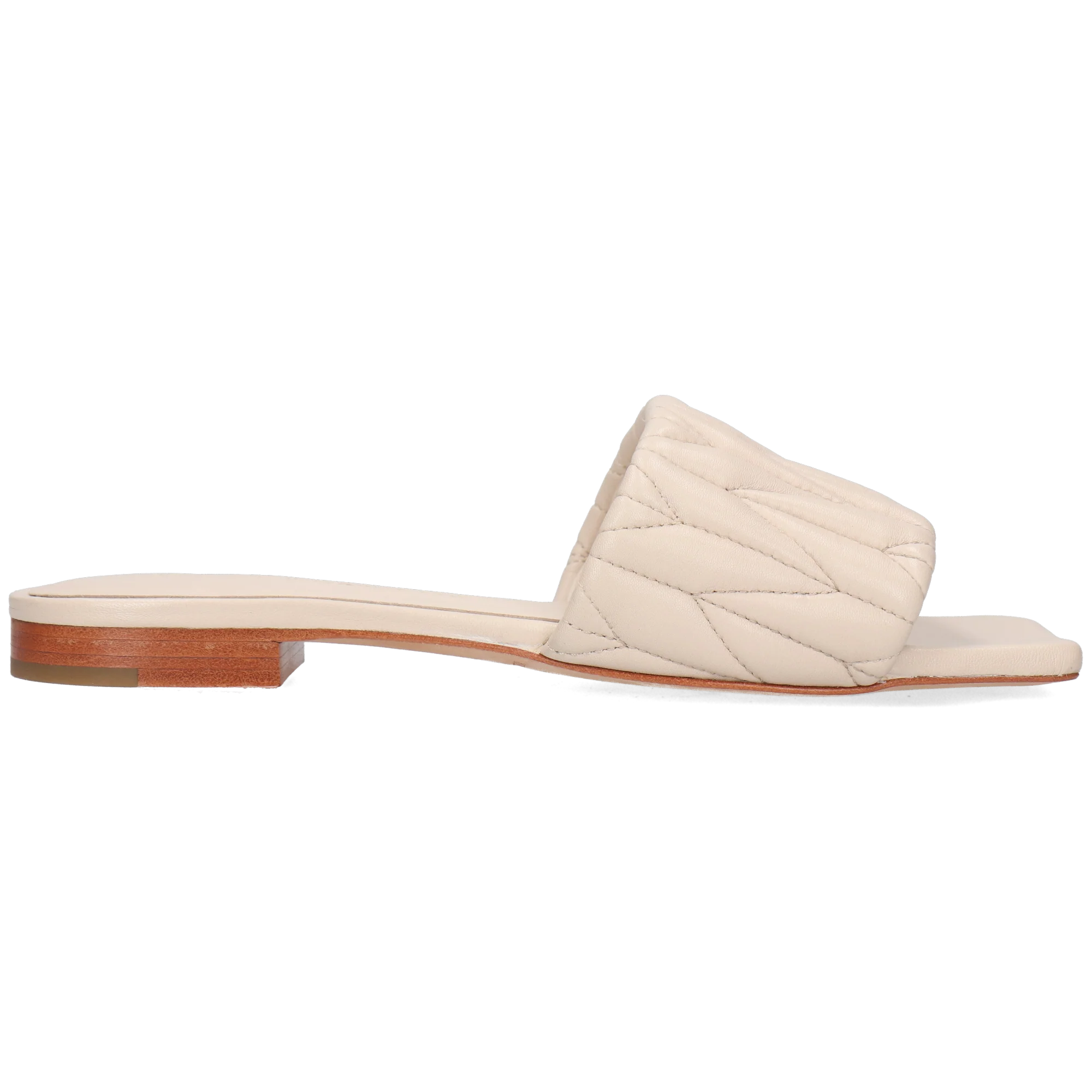 Eglantine 2 - Image 7