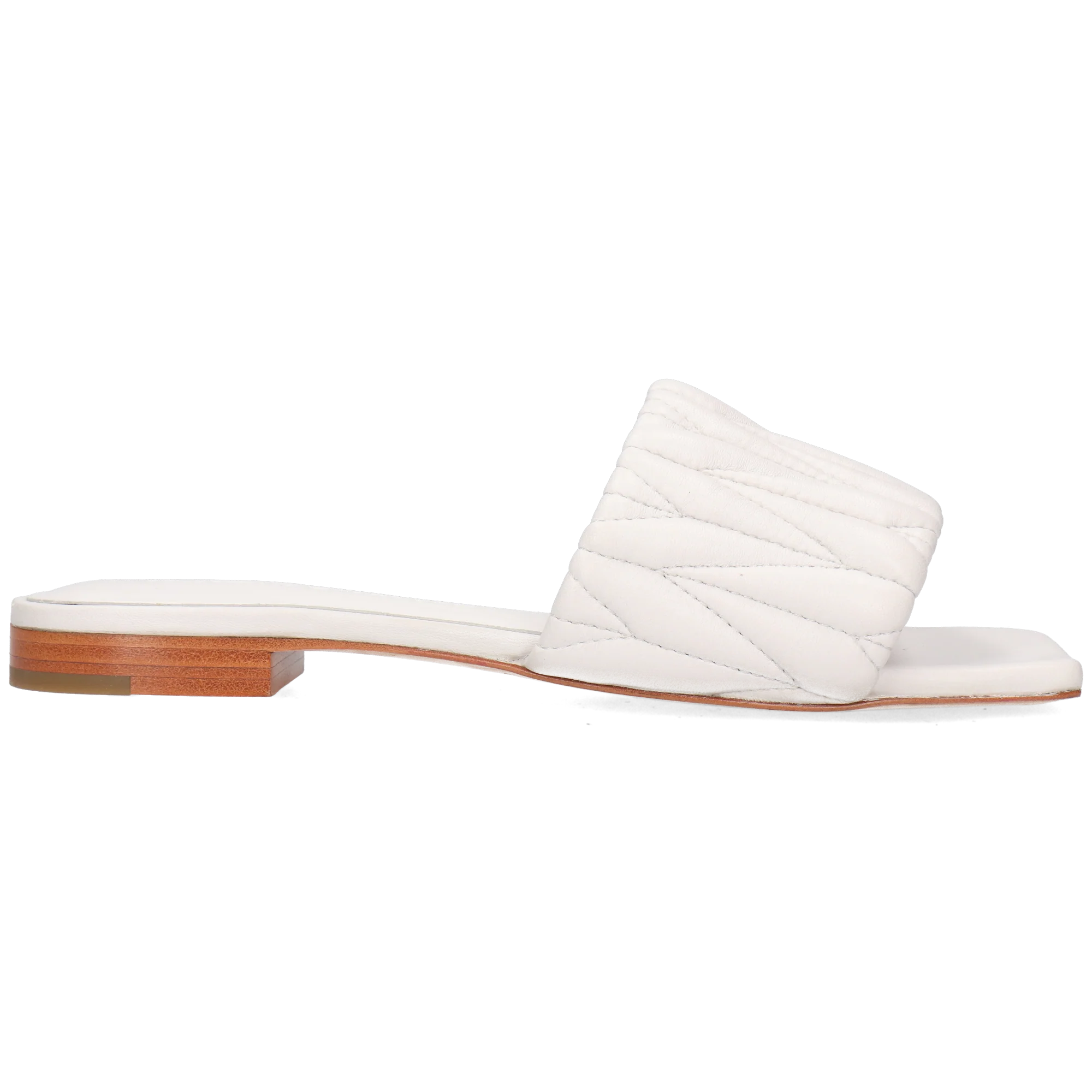 Eglantine 2 - Image 7
