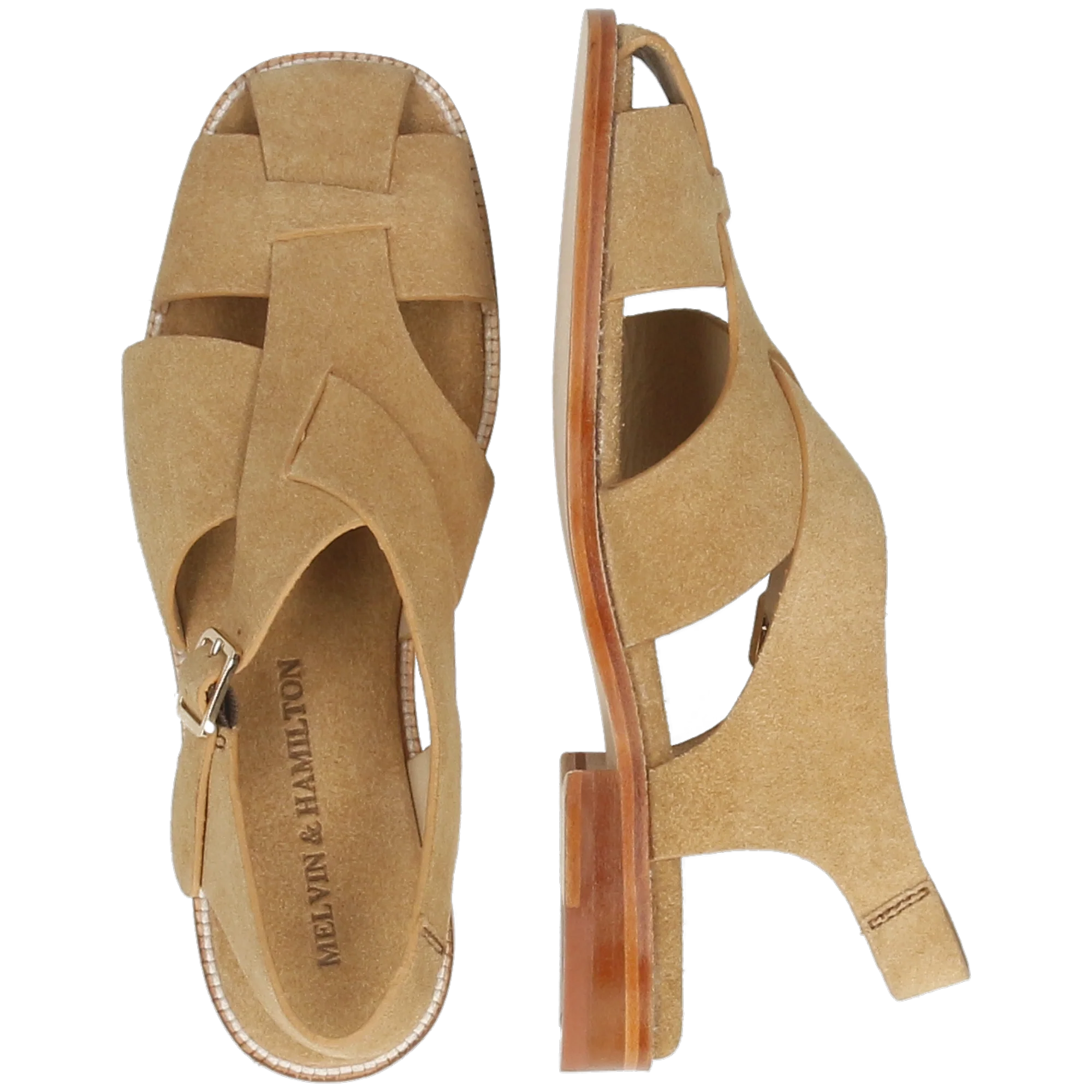 Everly 13 - Image 6