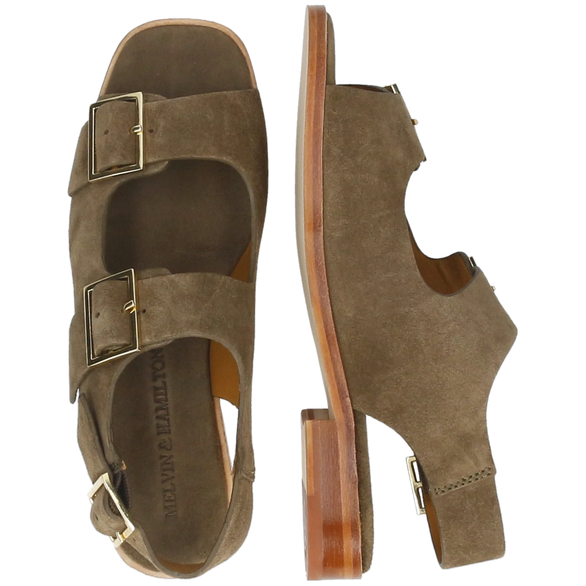 Everly 5 - Image 6