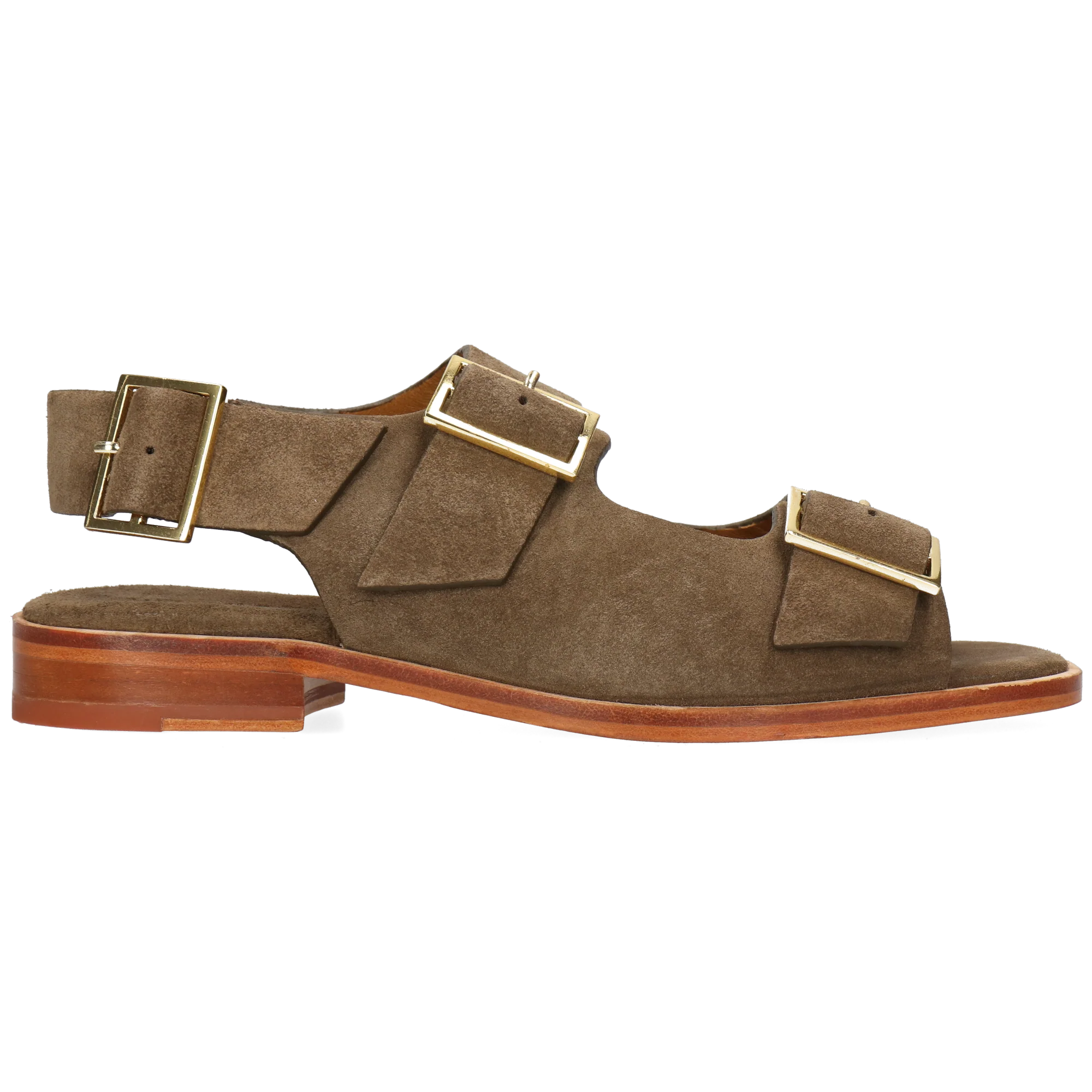 Everly 5 - Image 7