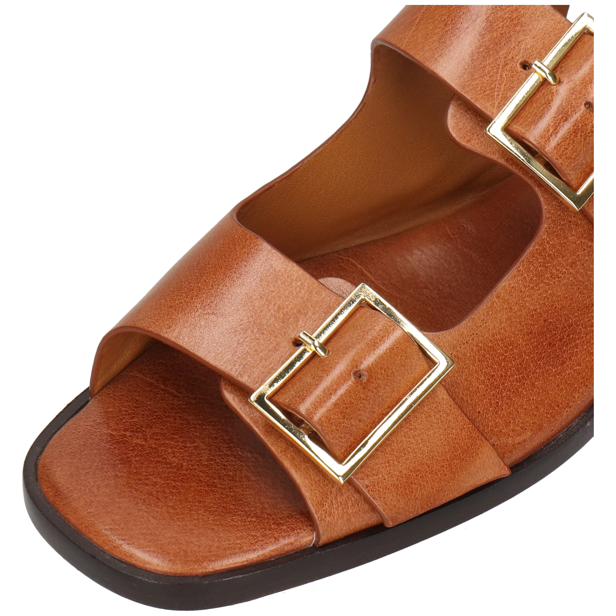Everly 5 - Image 5