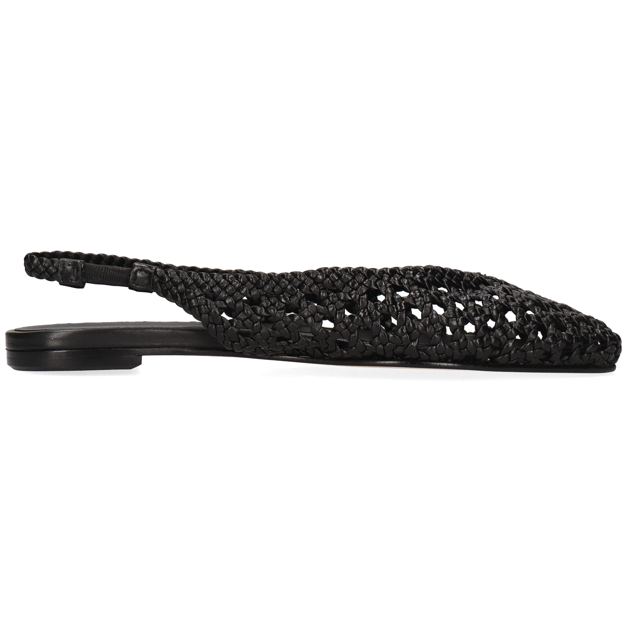 Fiora 4 - Image 2
