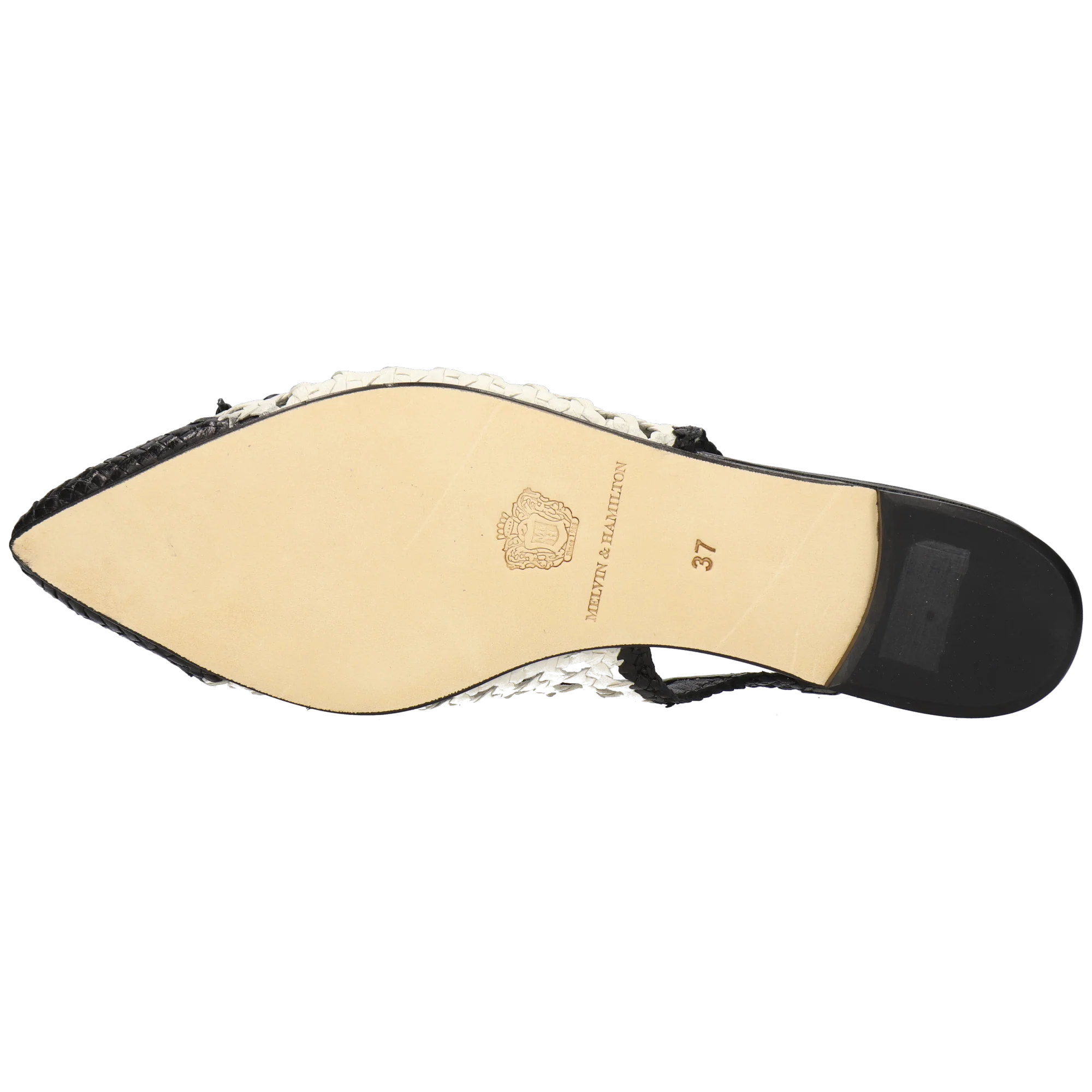 Fiora 5 - Image 4