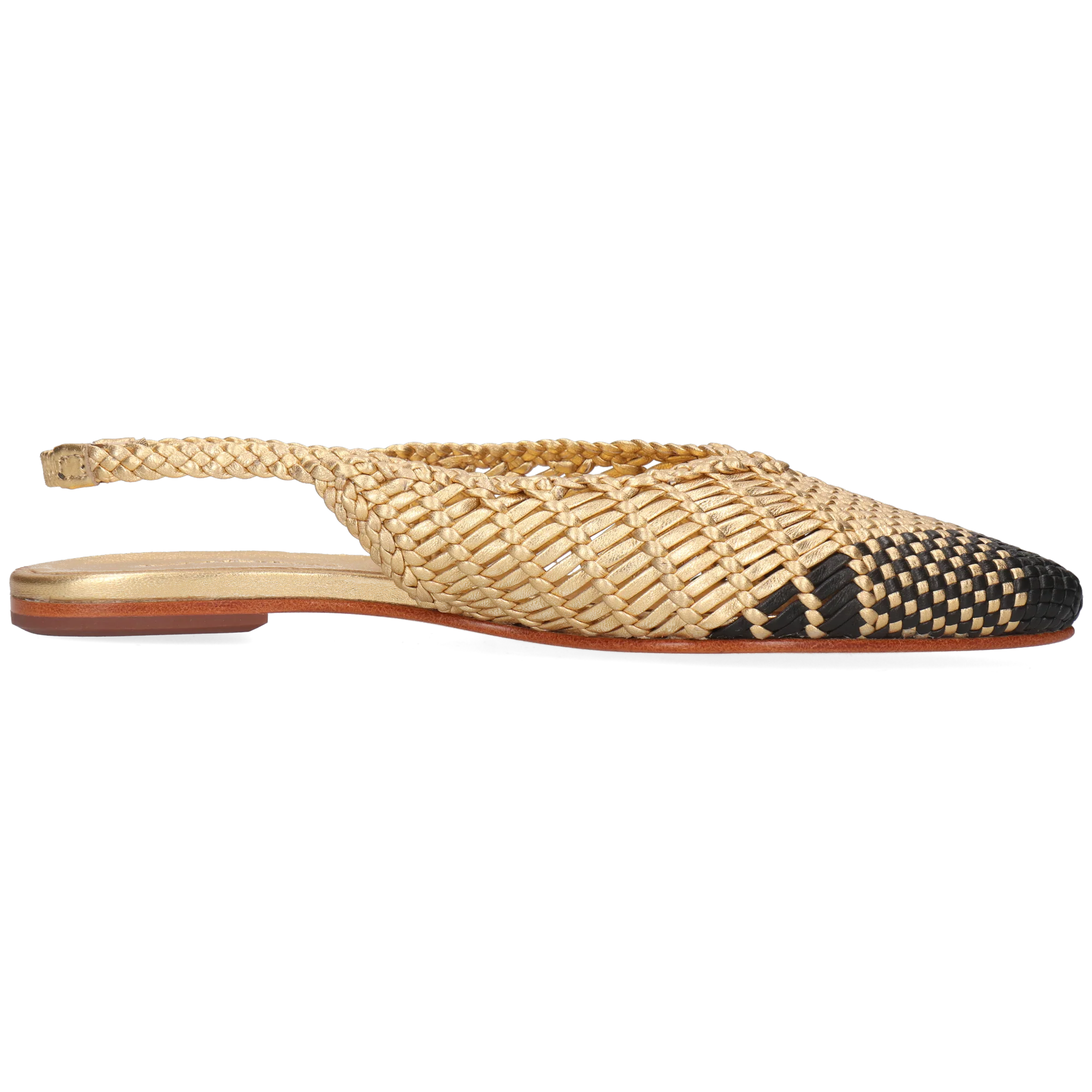 Fiora 6 - Image 2