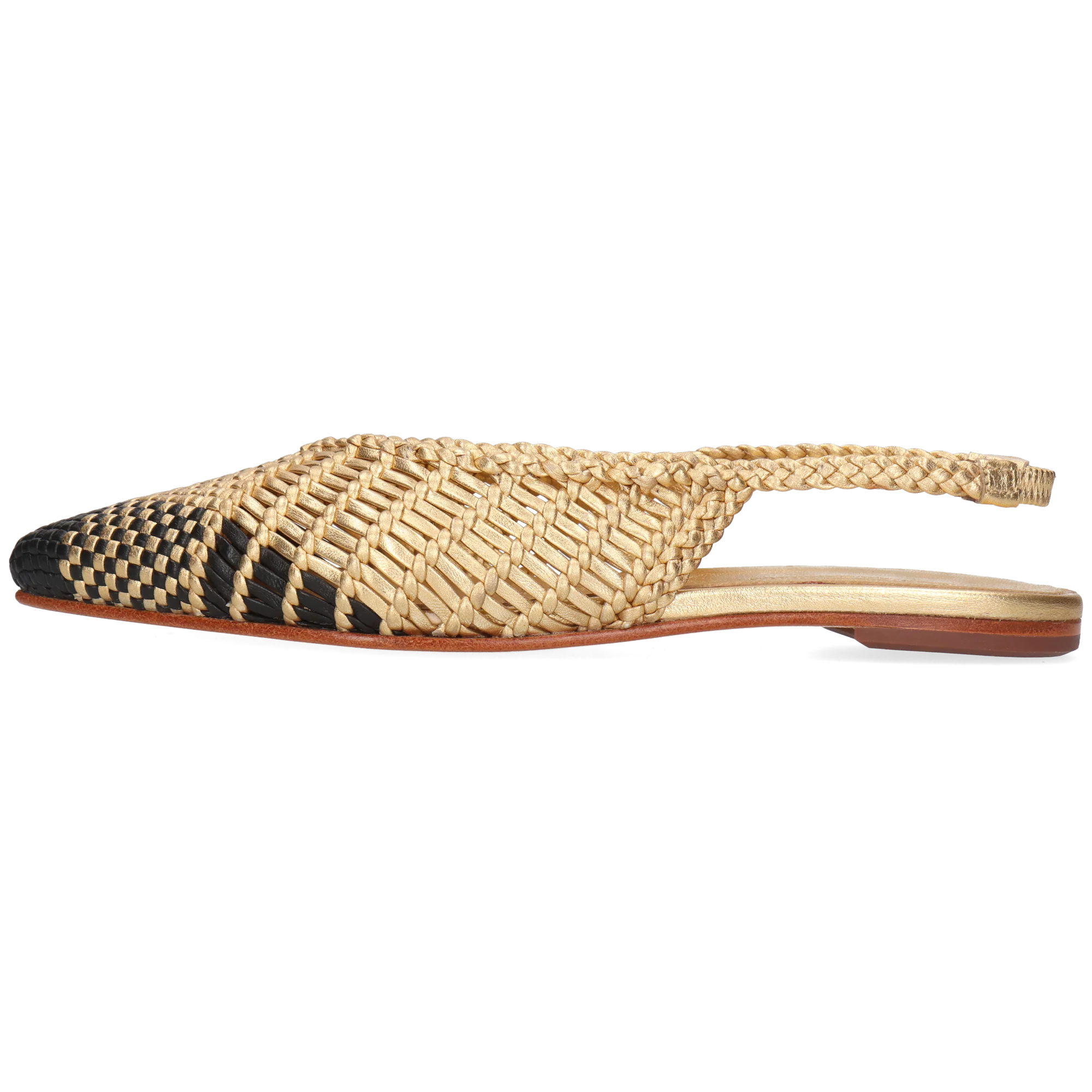 Fiora 6 - Image 3