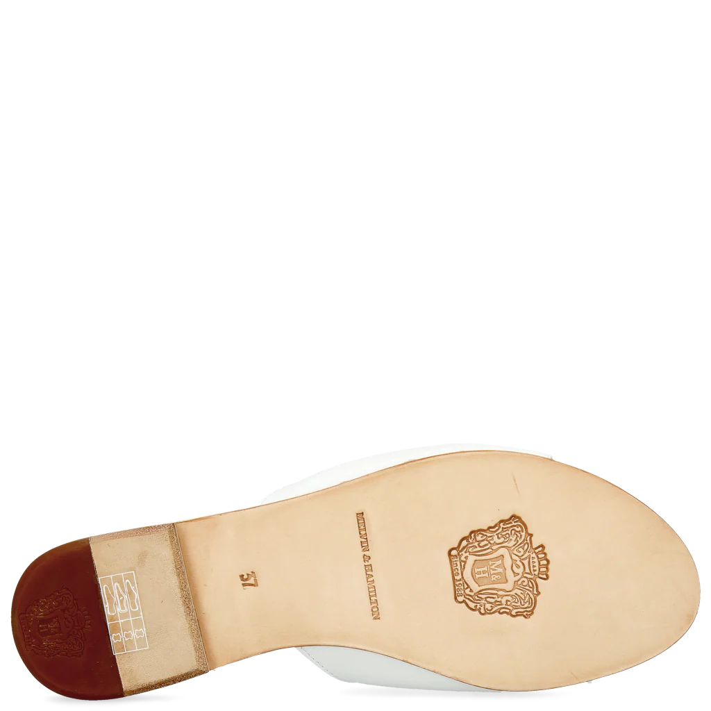Hanna 5 - Image 5