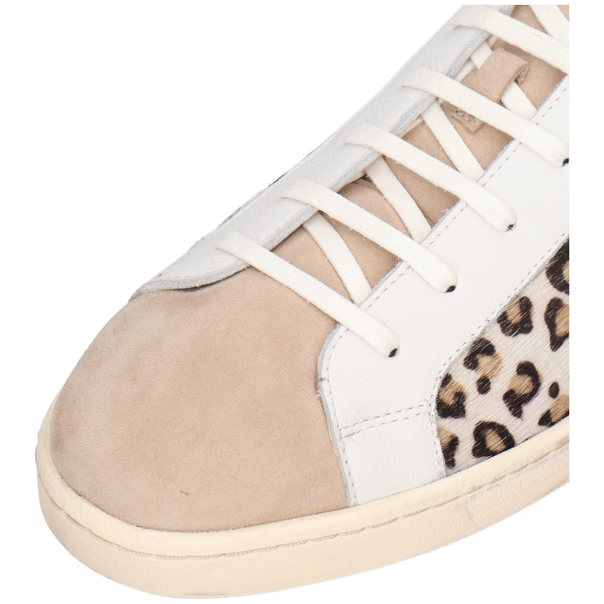 Jaxson 5 - Image 5