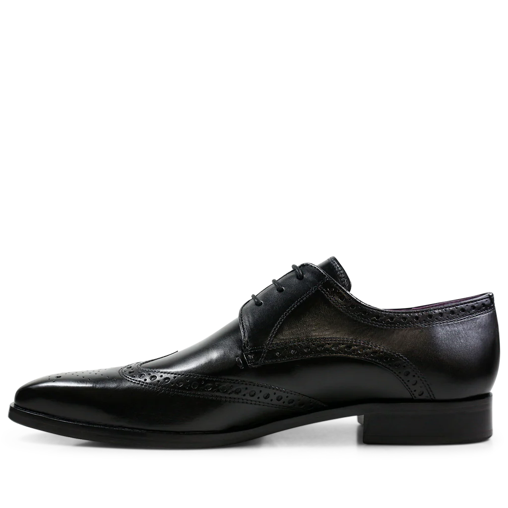 Lance 2 - Image 4
