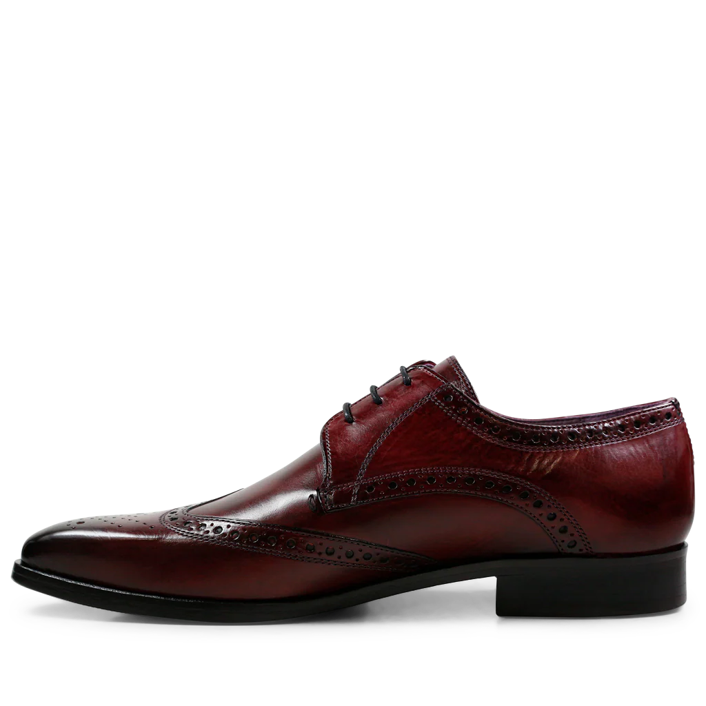 Lance 2 - Image 4