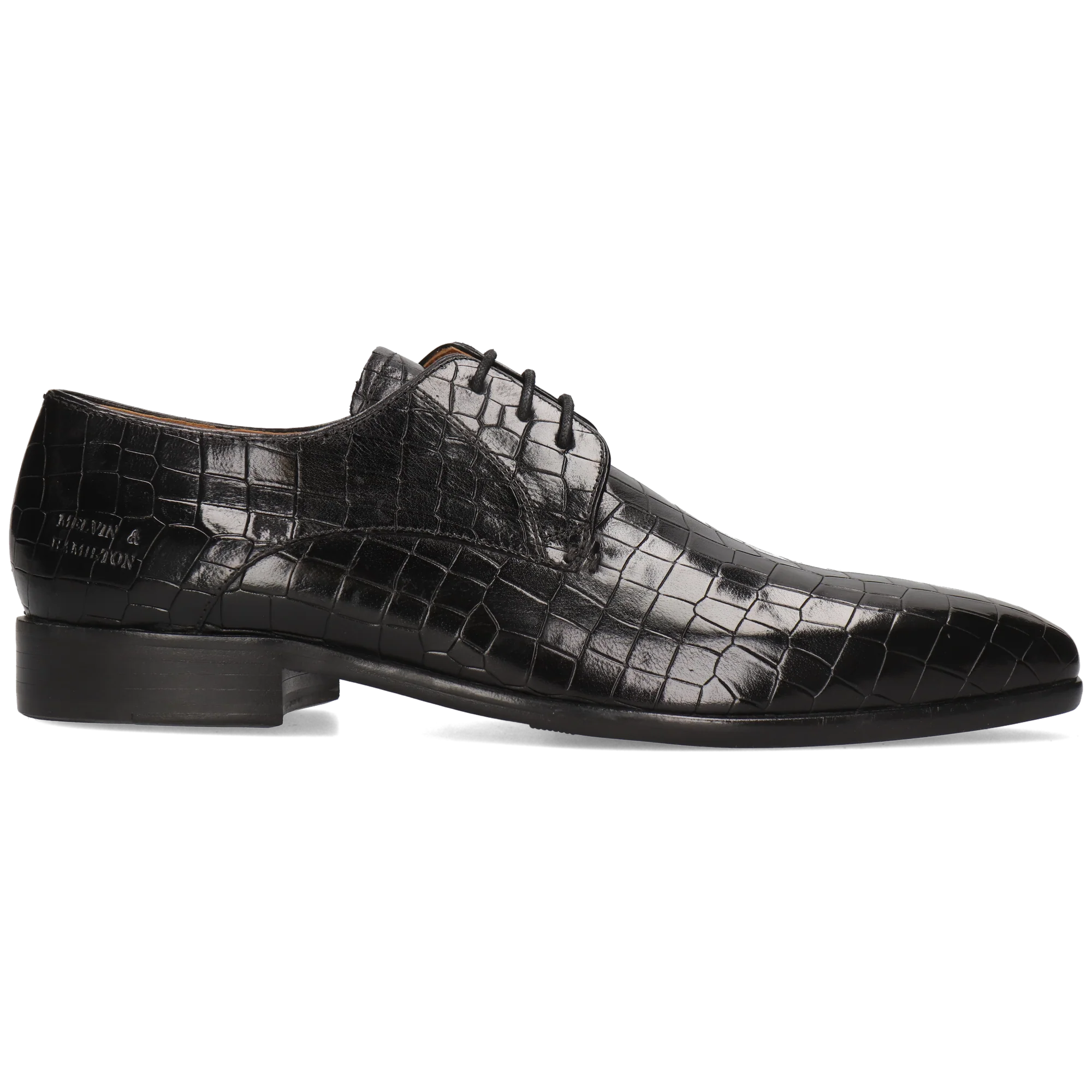 Lance 8 - Image 7