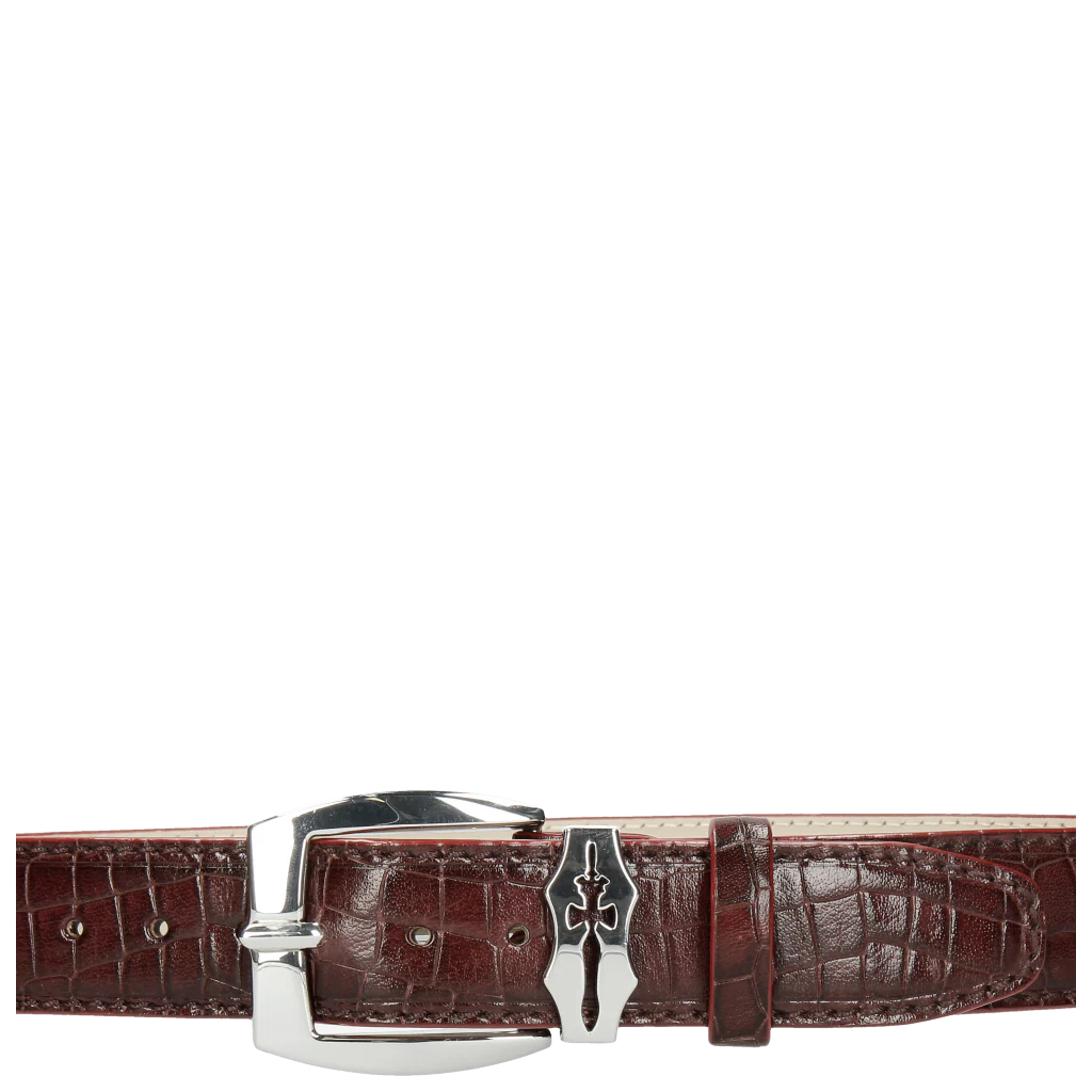 Larry 1 - Image 2