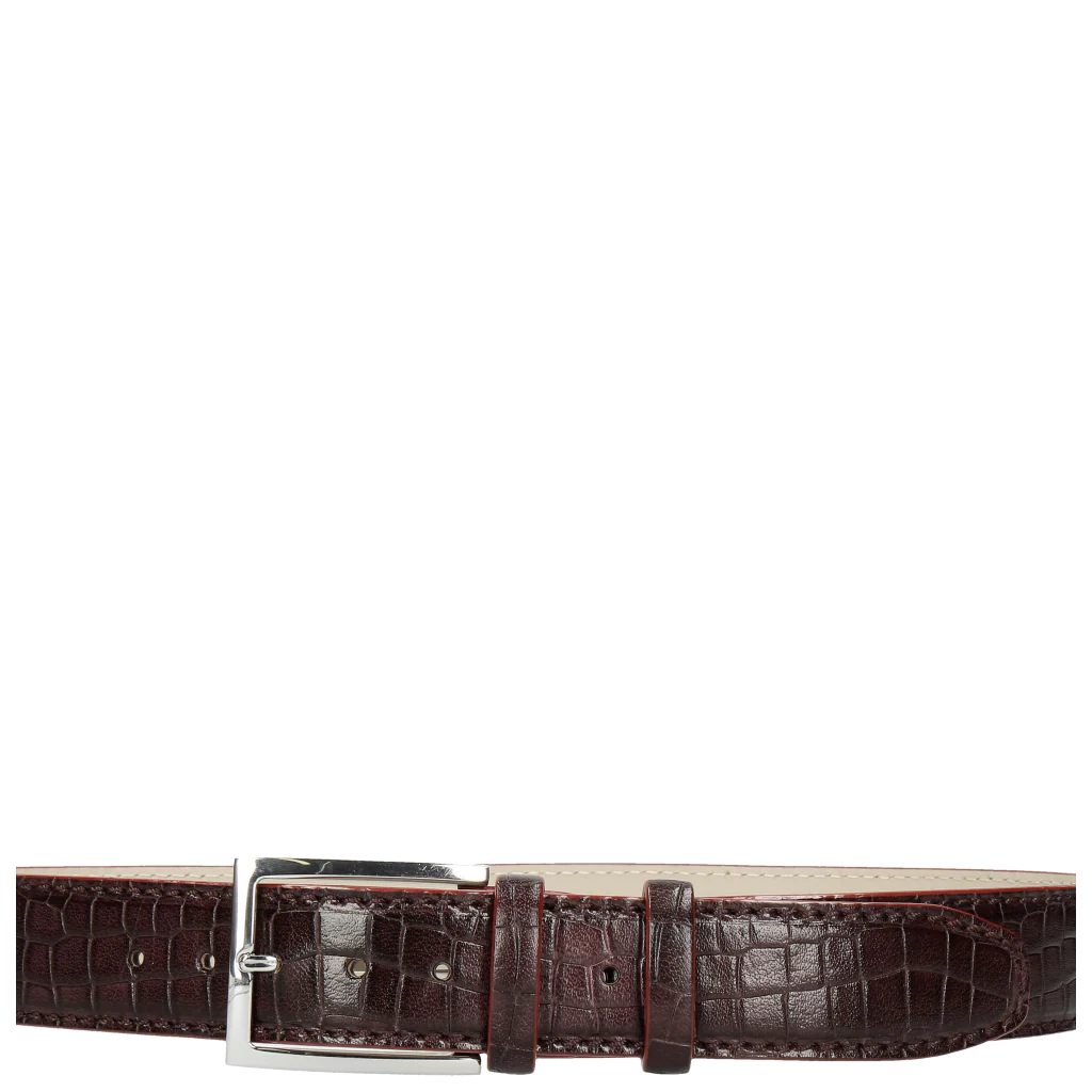 Larry 1 - Image 2