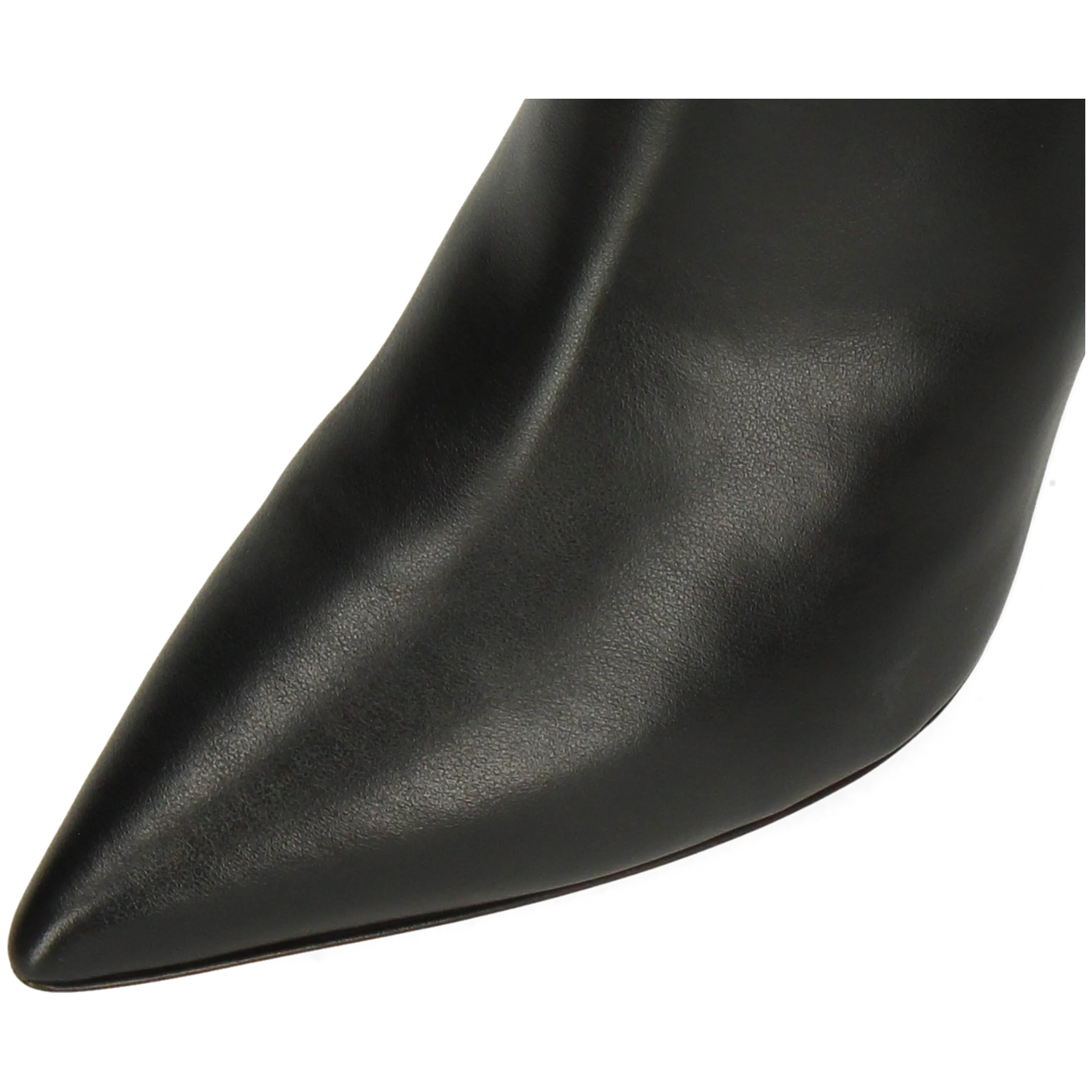 Lisa 2 - Image 5