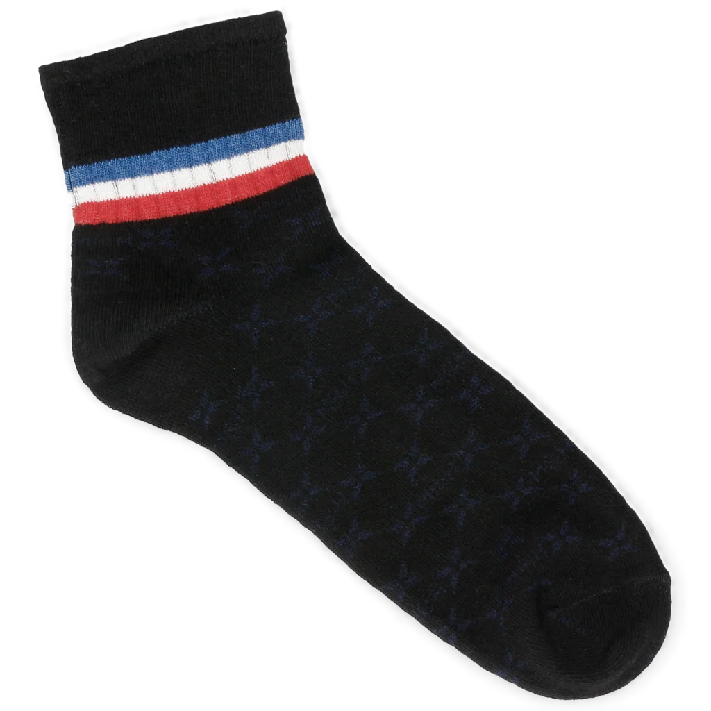 Lorie 1 - Image 2