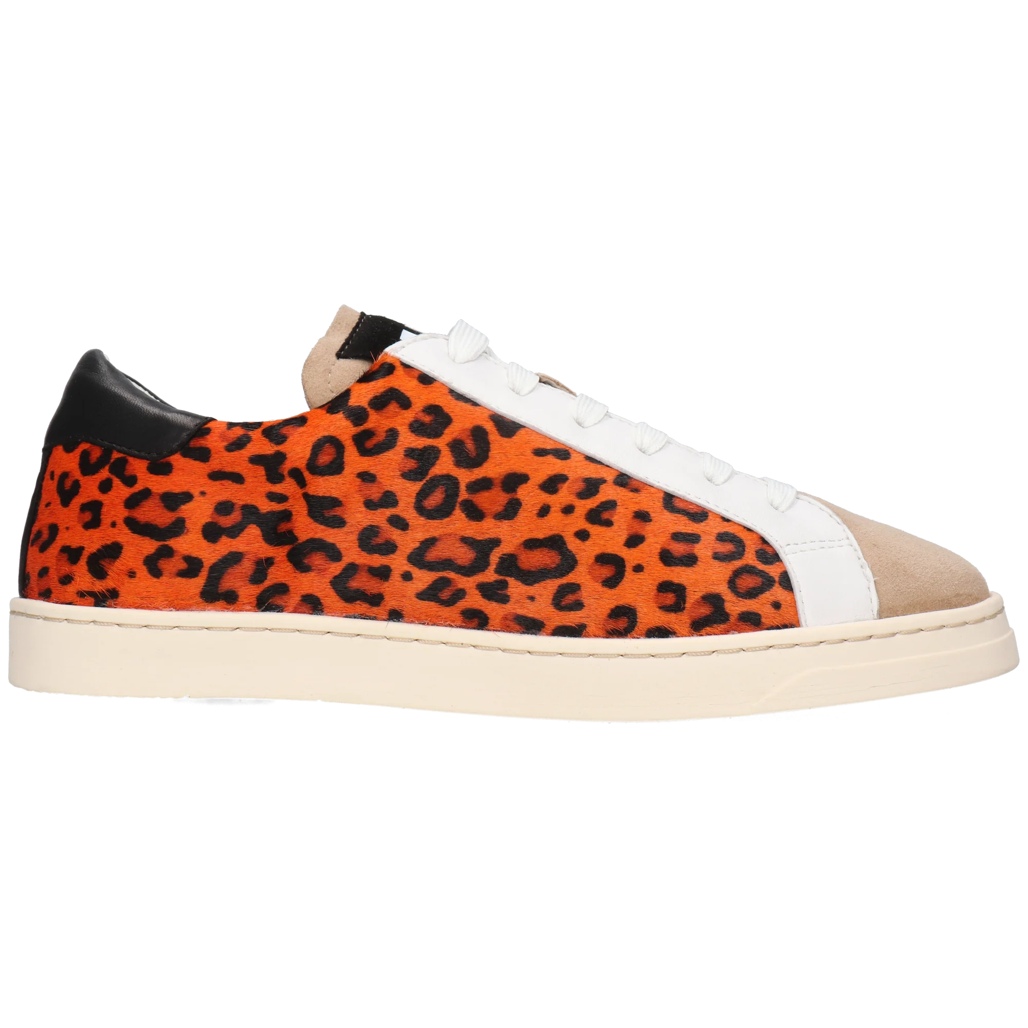 Milani 3 - Image 7