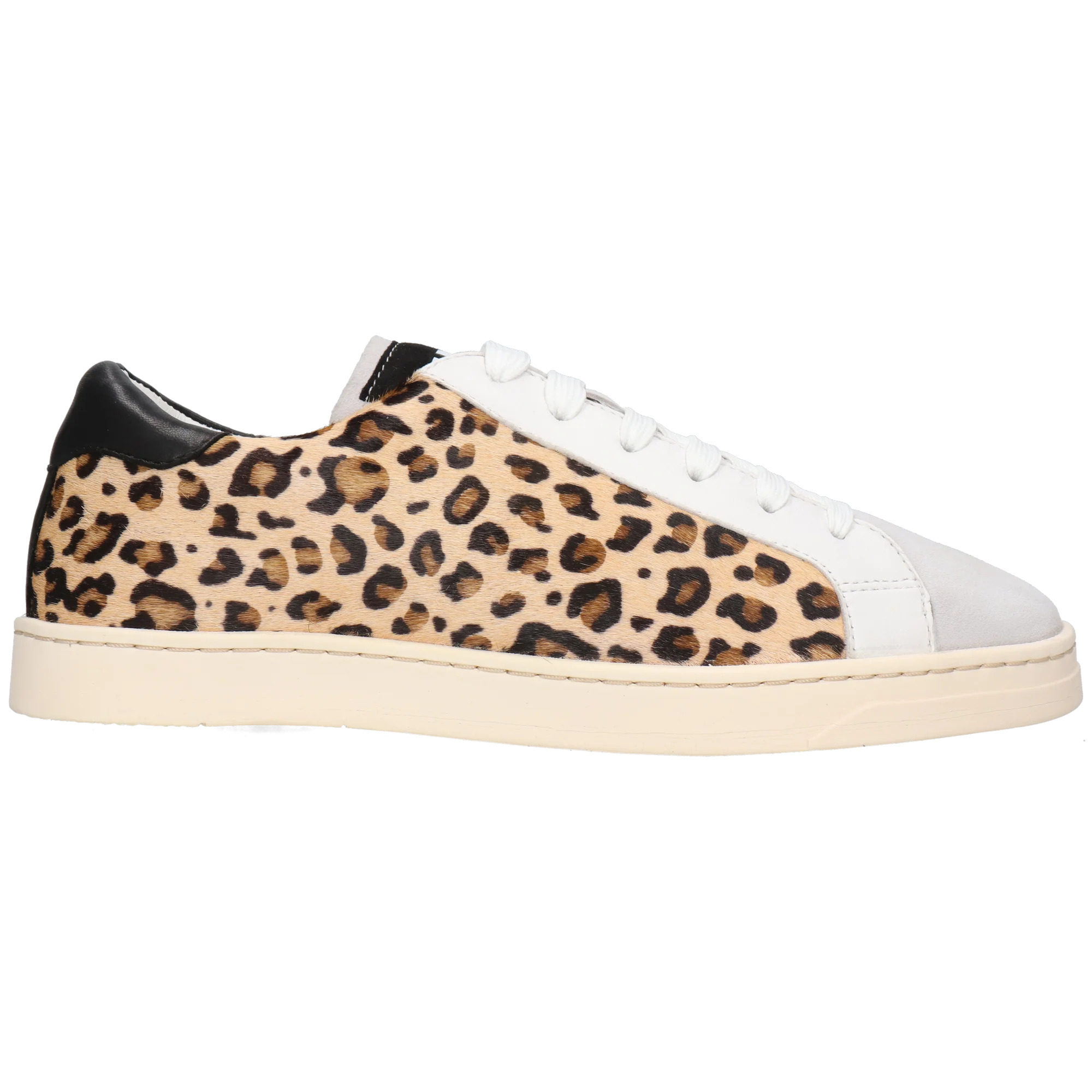 Milani 3 - Image 7