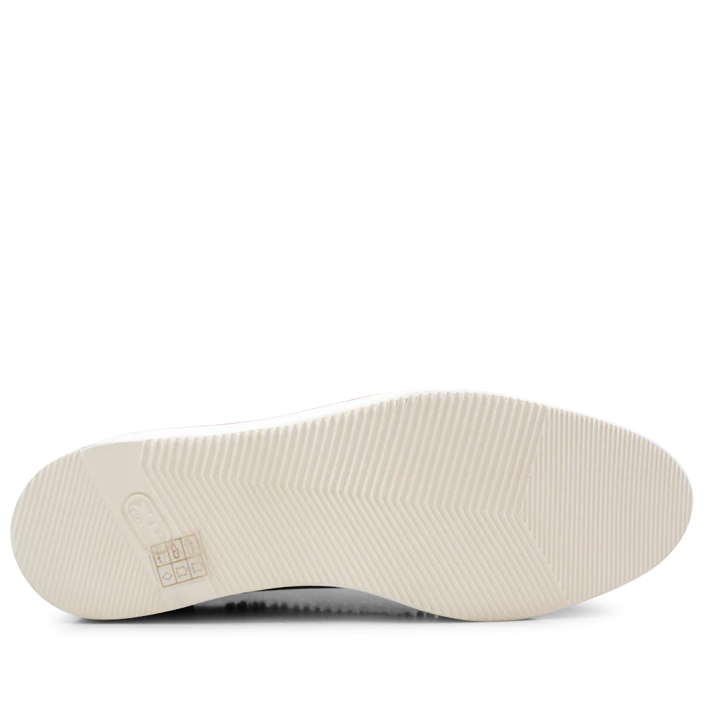 Molly 1 - Image 5