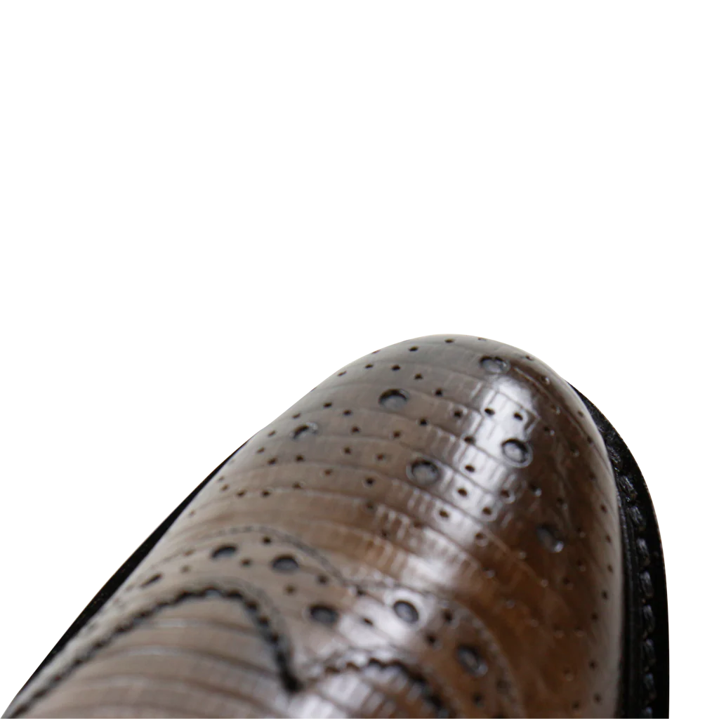 Molly 5 - Image 6