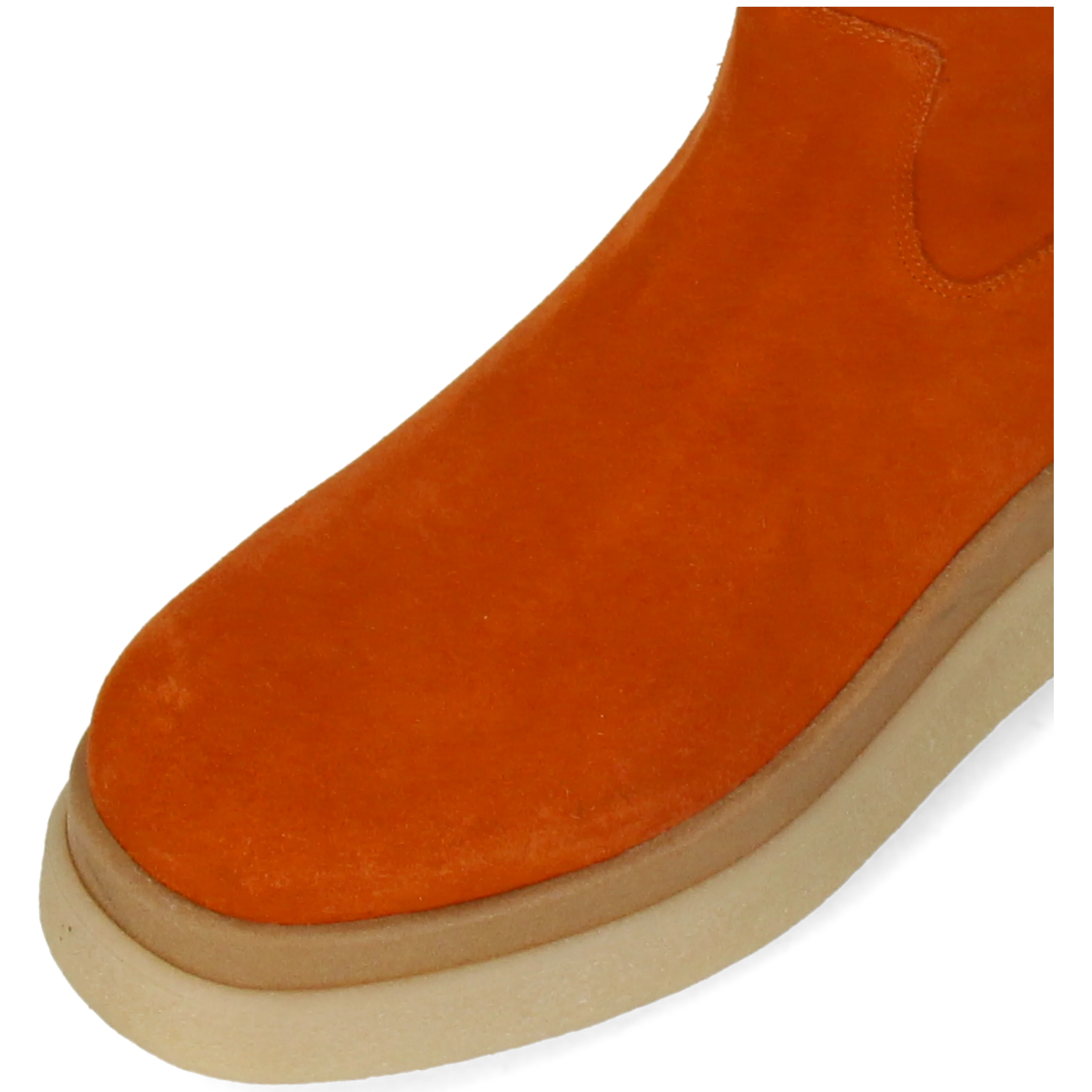 Nyra 5 - Image 5