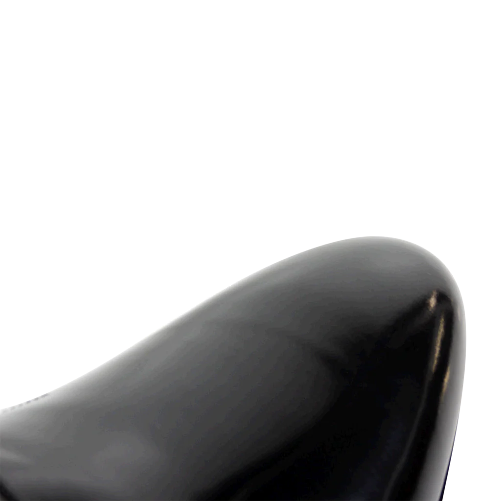 Paul 12 - Image 4