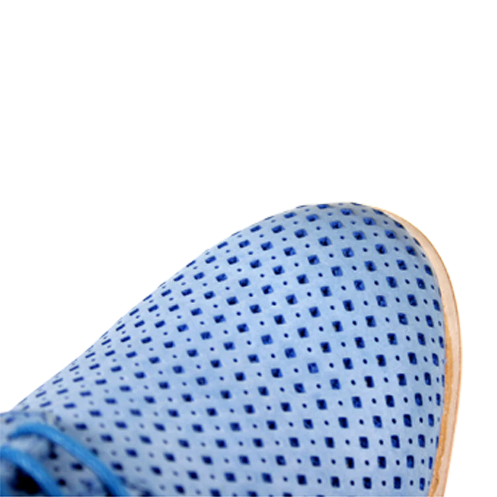 Polly 2 - Image 4