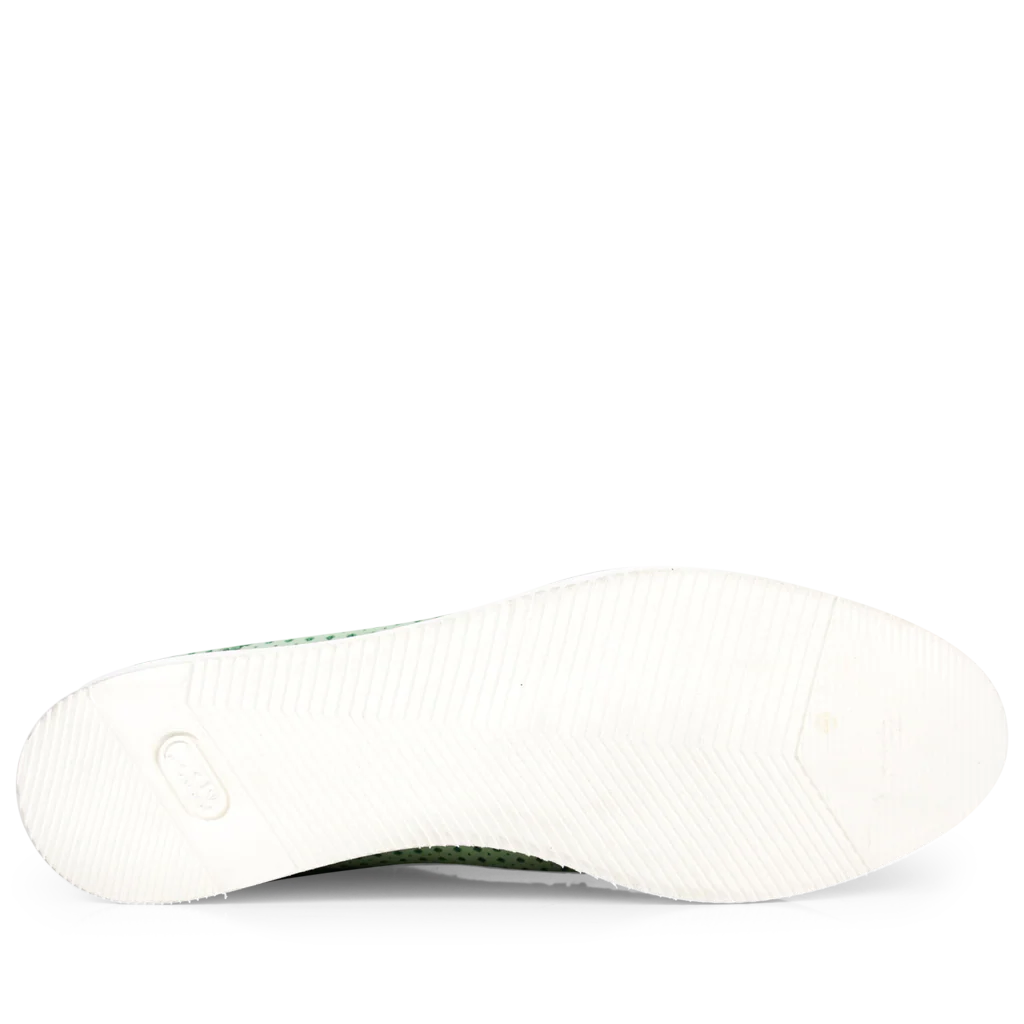 Polly 2 - Image 6